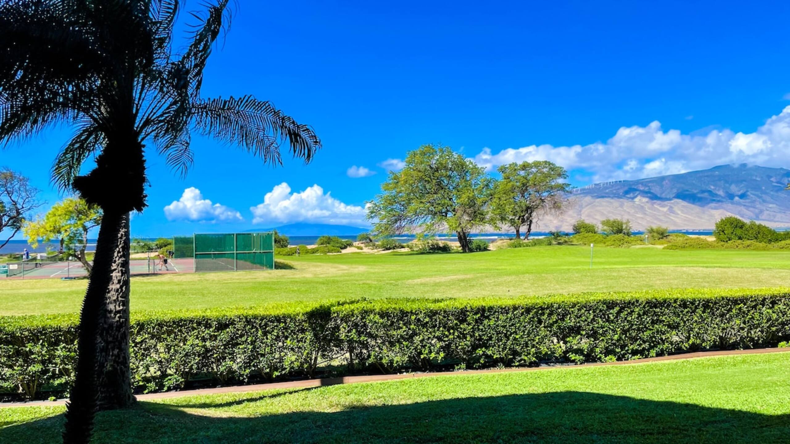 Gorgeous,2 bd, Ocean, AC,wifi,pool, hot tub D104 - Photo 6