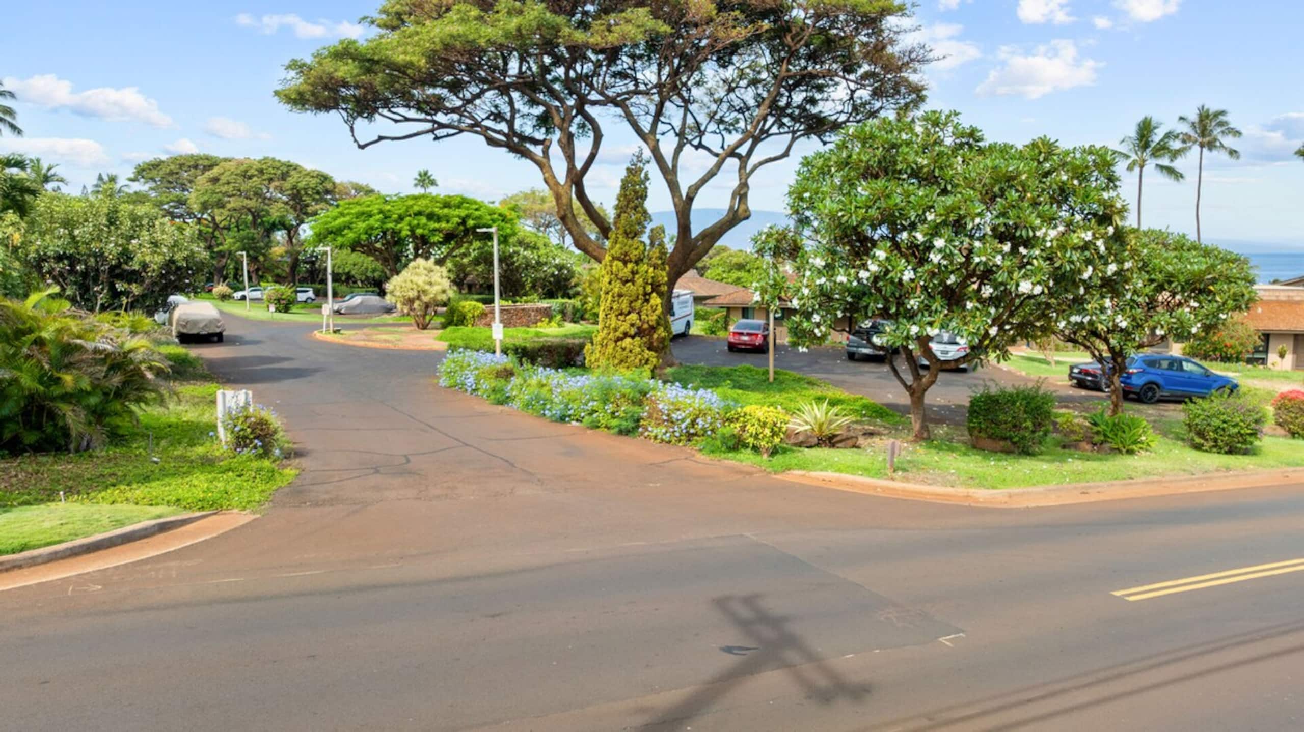 Hidden West Maui Gem with Ocean View and Split A/C - Photo 55