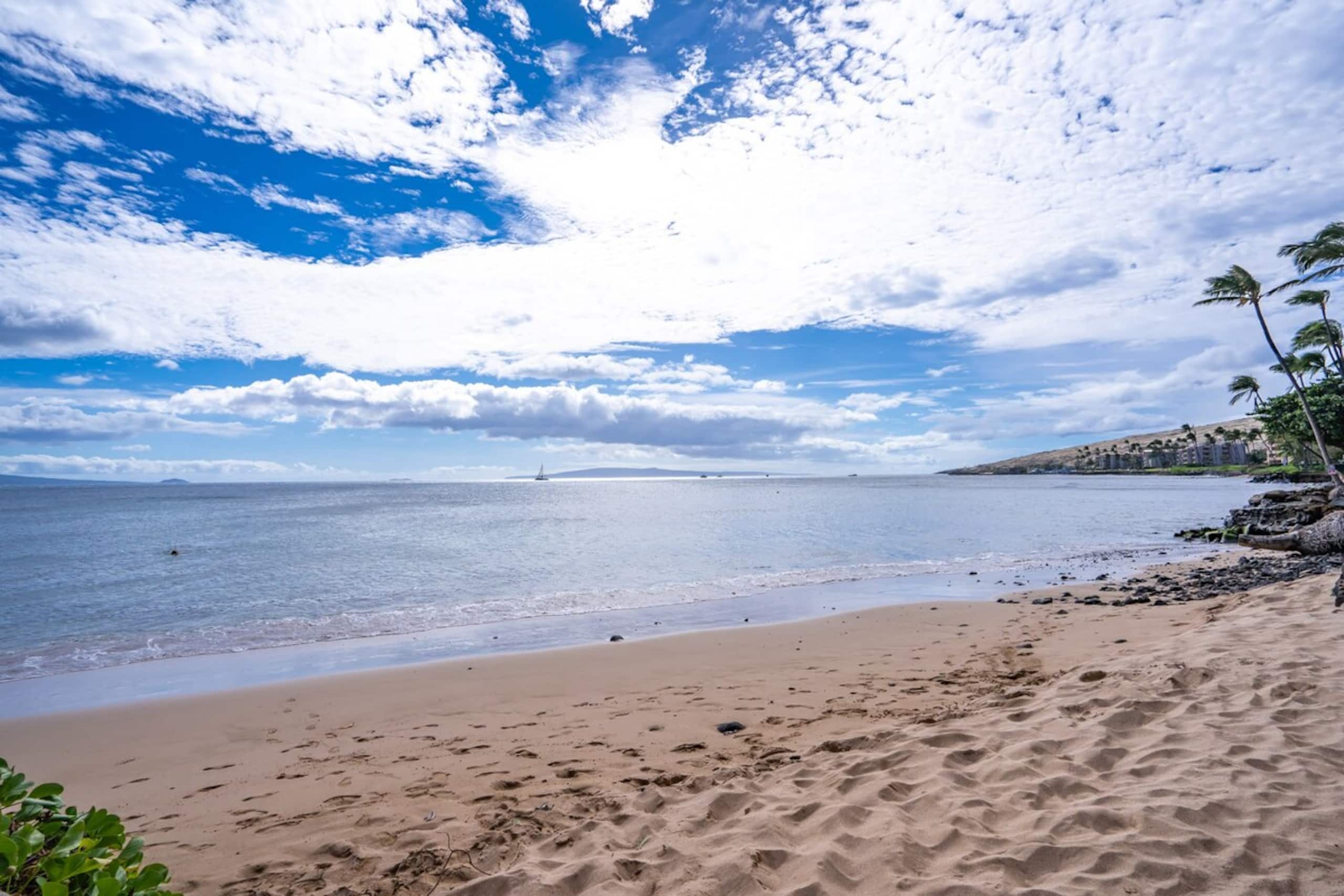 Oceanfront Penthouse at Maalaea in South Maui - Photo 39