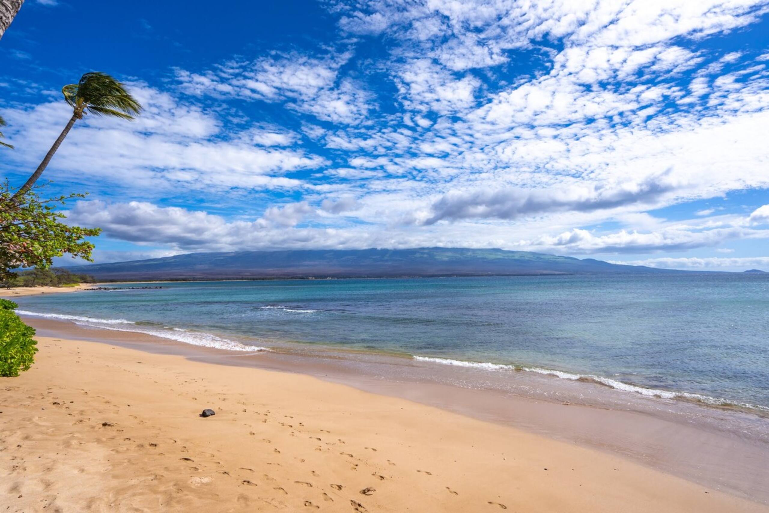 Oceanfront Penthouse at Maalaea in South Maui - Photo 41