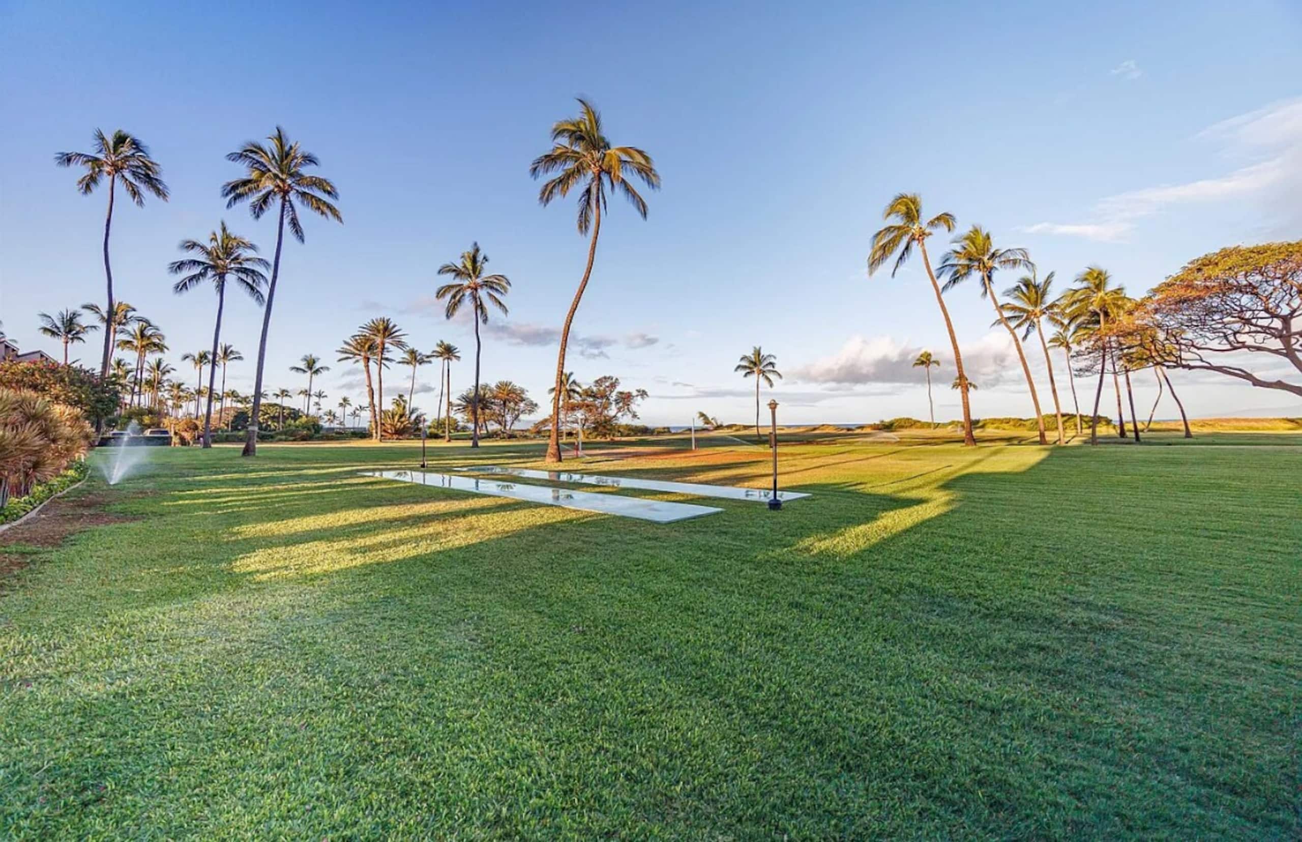 Kihei 533- A/C, Free Parking, and WiFi - Photo 17