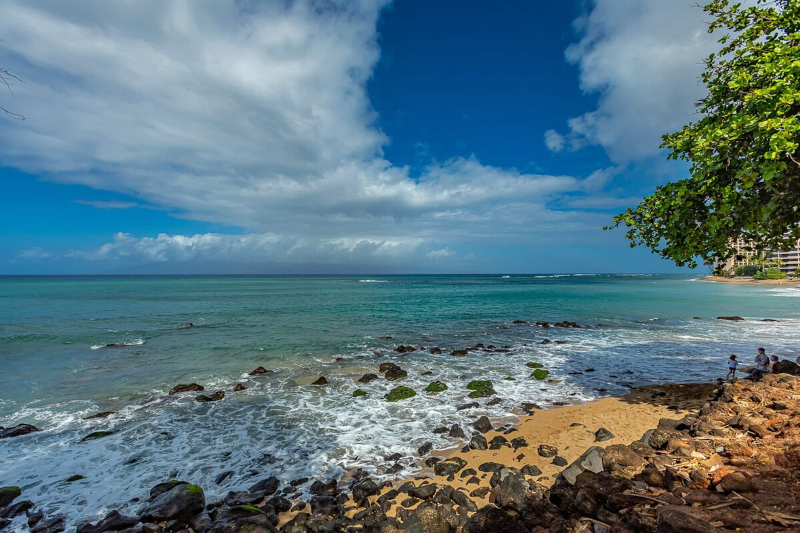 Oceanfront Maui condo w/ private lanai pool - Photo 19