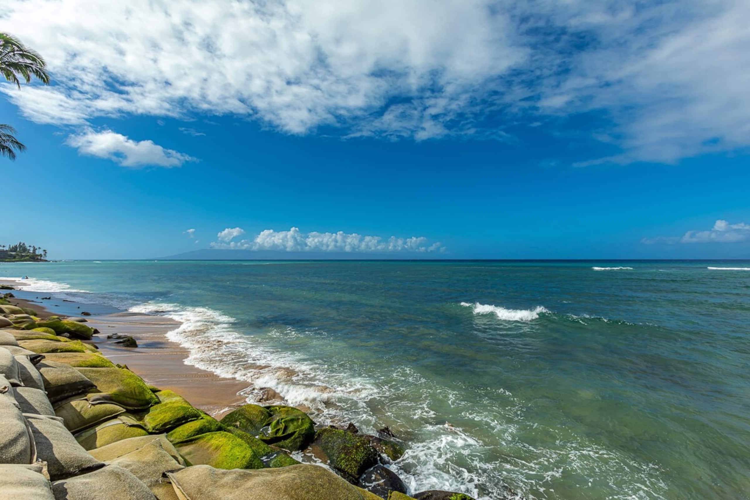 Oceanfront Maui condo w/ private lanai pool - Photo 18