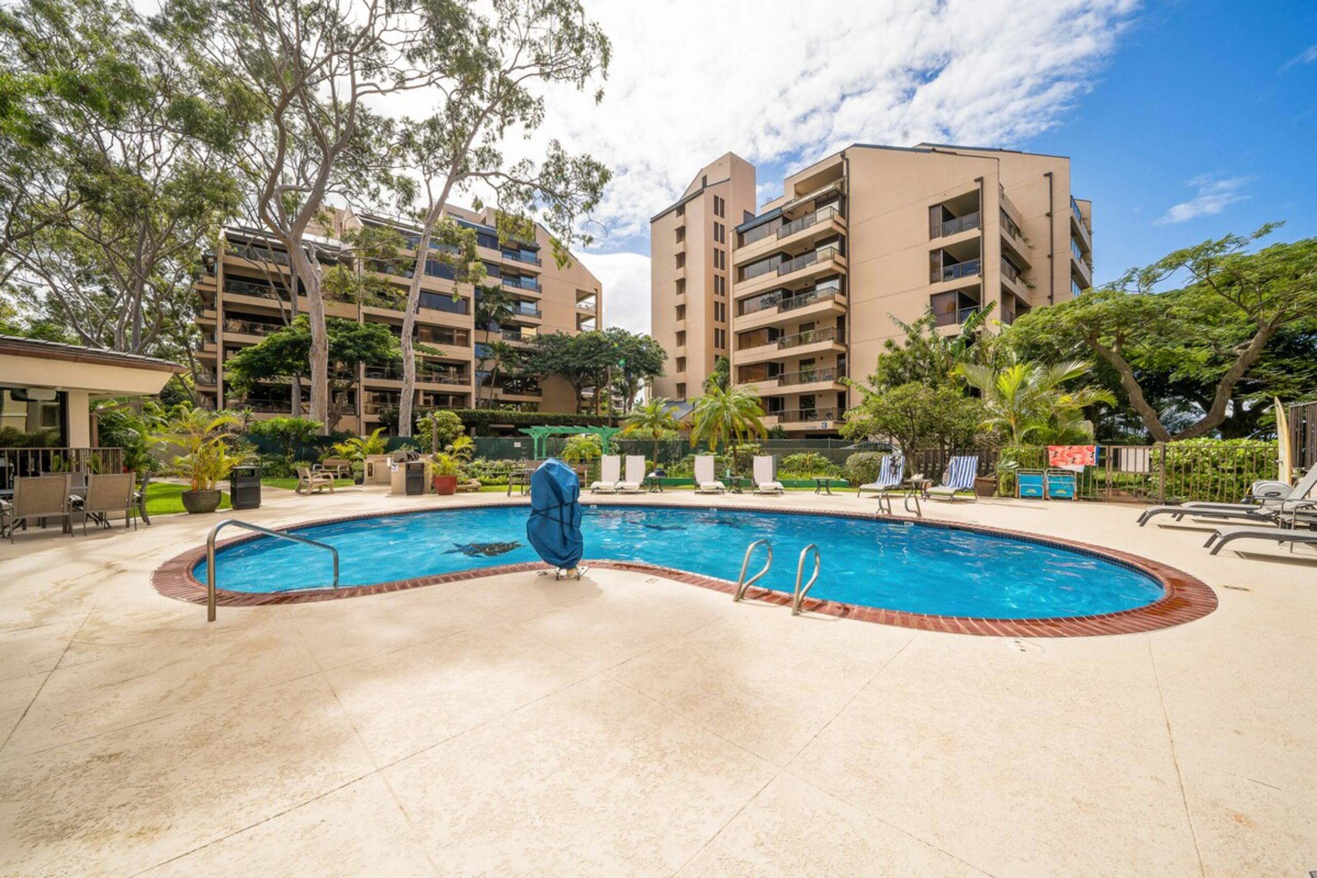 Studio Breathtaking Lanai Views-Valley Isle 507 - Photo 38