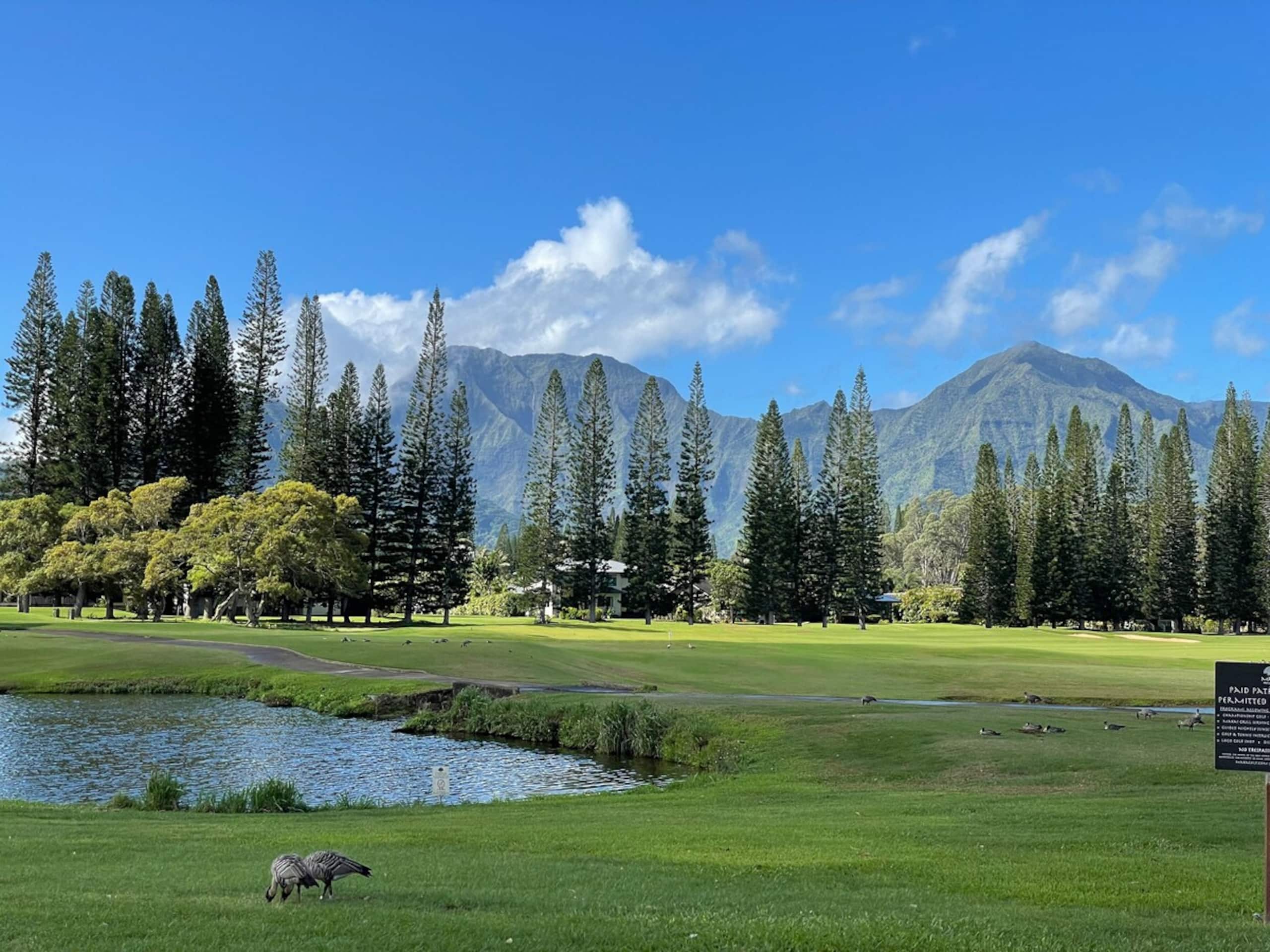 Air-Conditioned Tropical Retreat in Princeville - Photo 35