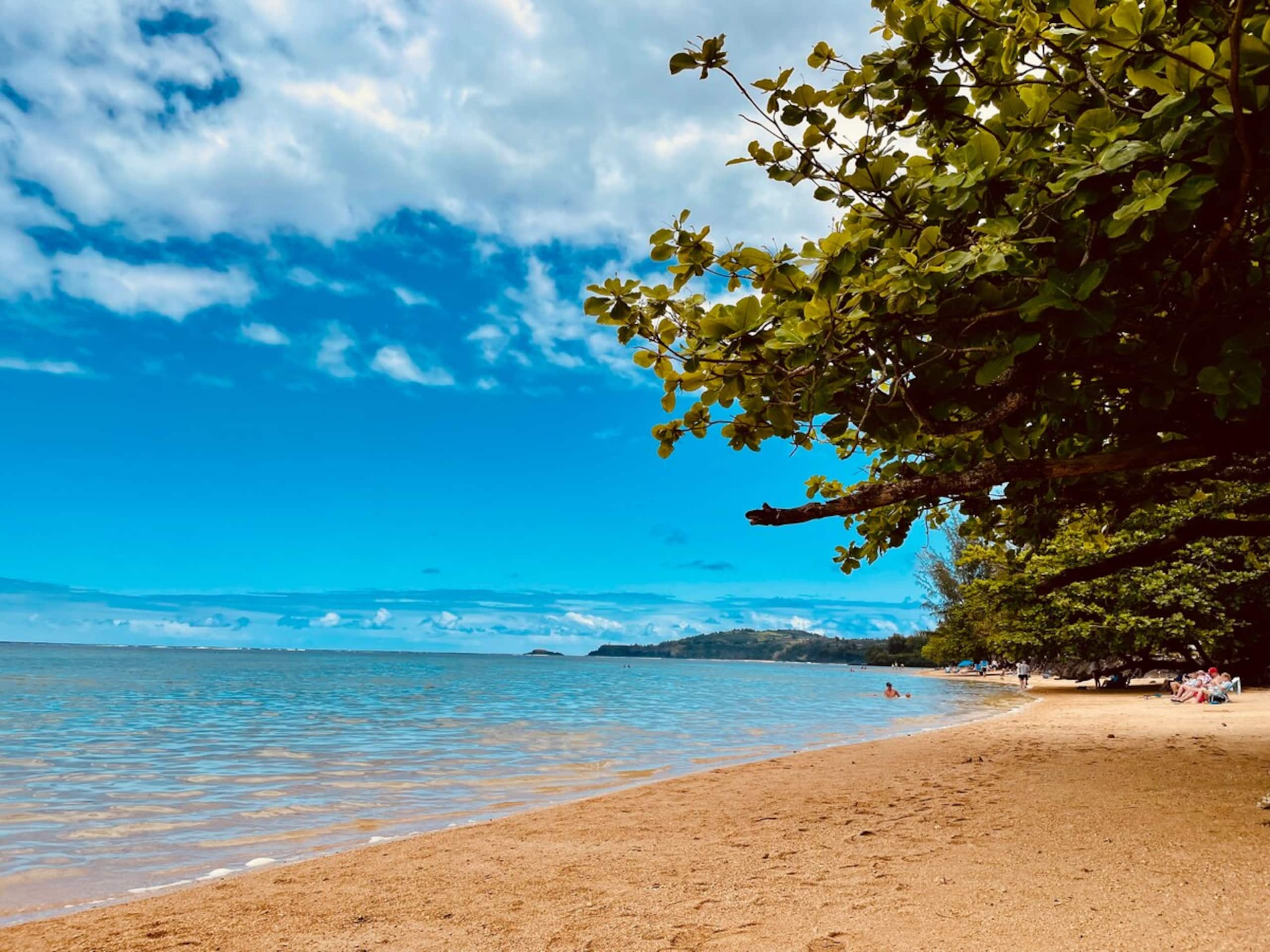 Air-Conditioned Tropical Retreat in Princeville - Photo 36