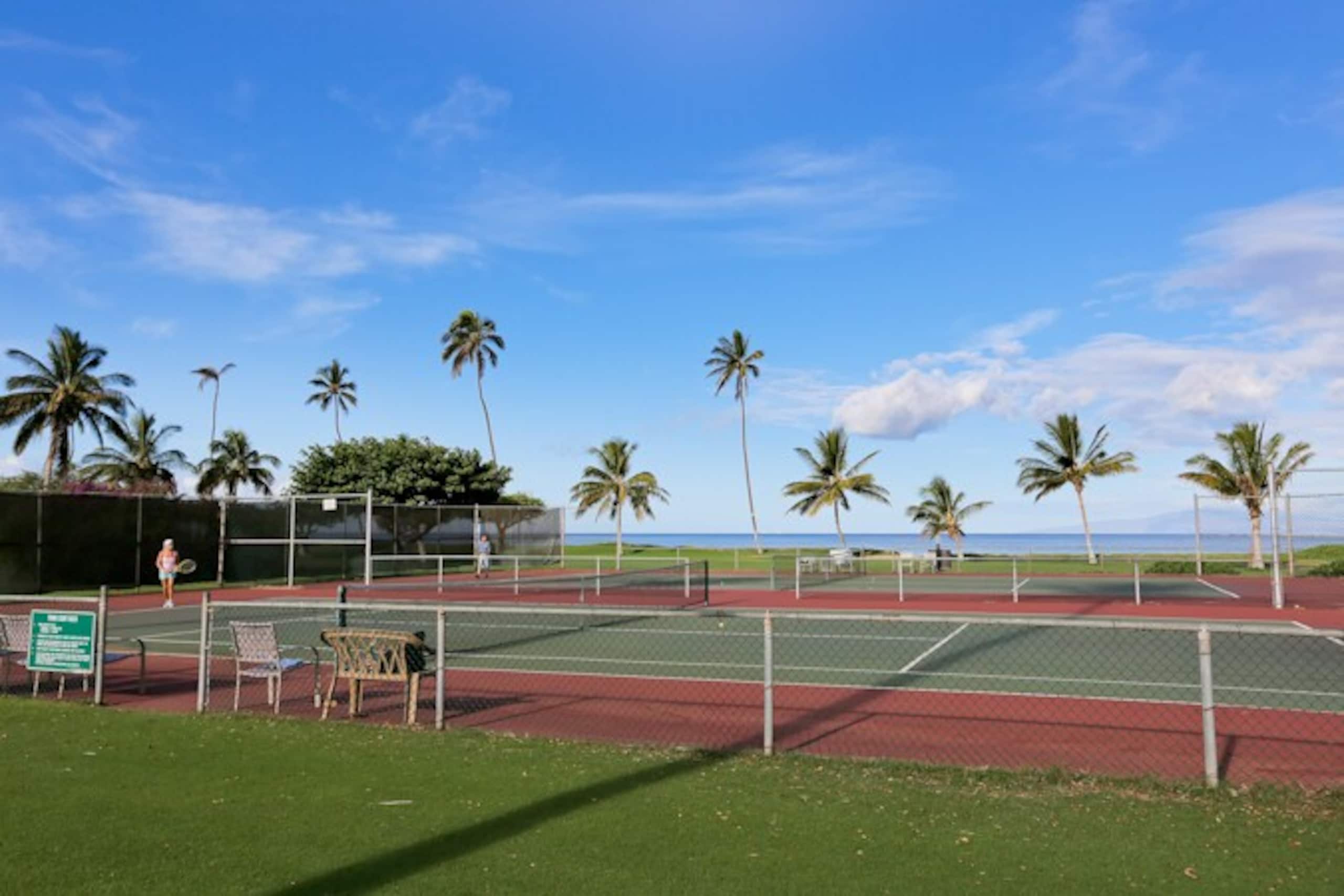 Oceanfront Complex,Ground Flr,Great Rates MSA103 - Photo 29