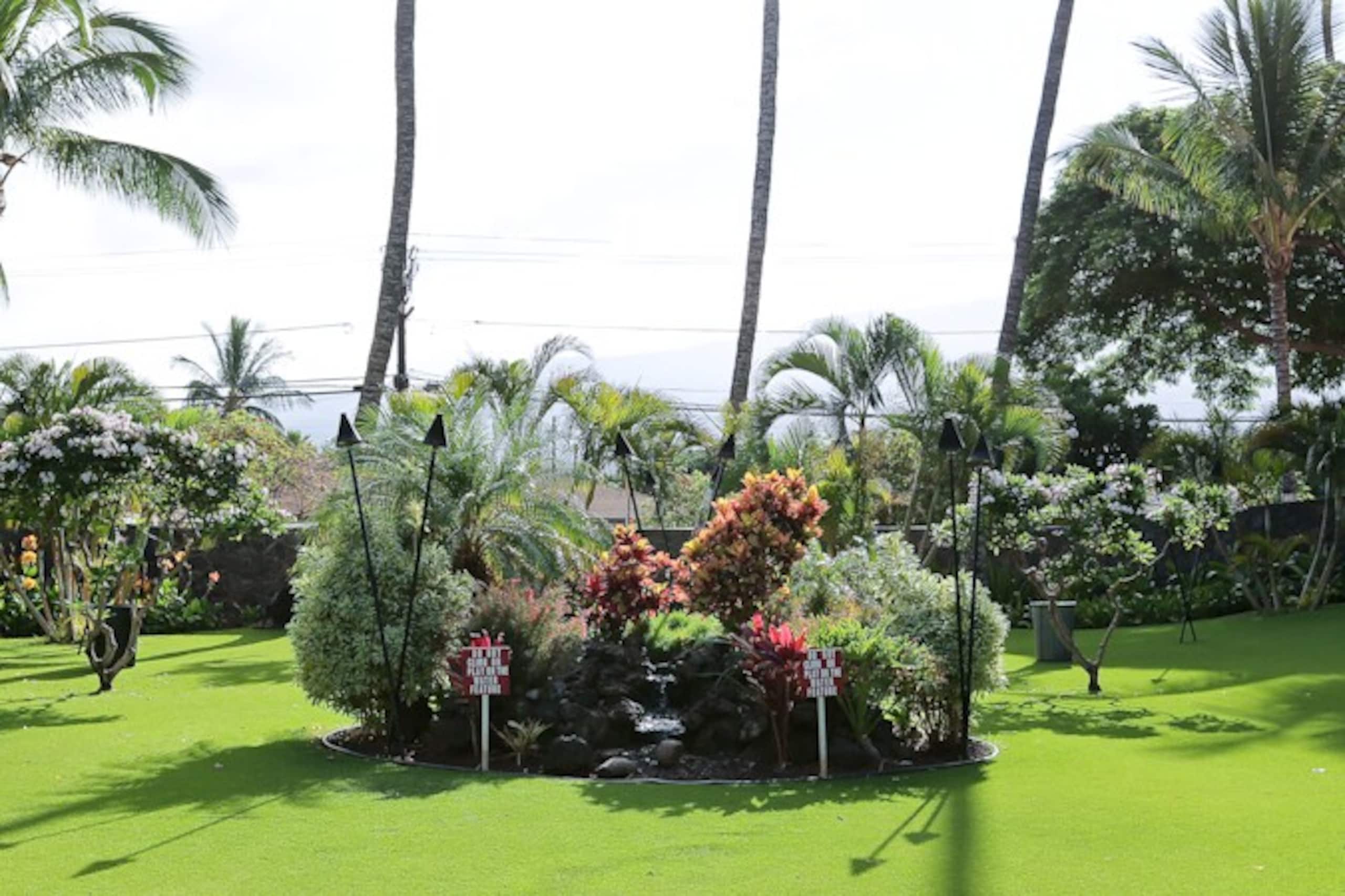 Oceanfront Complex,Ground Flr,Great Rates MSA103 - Photo 37