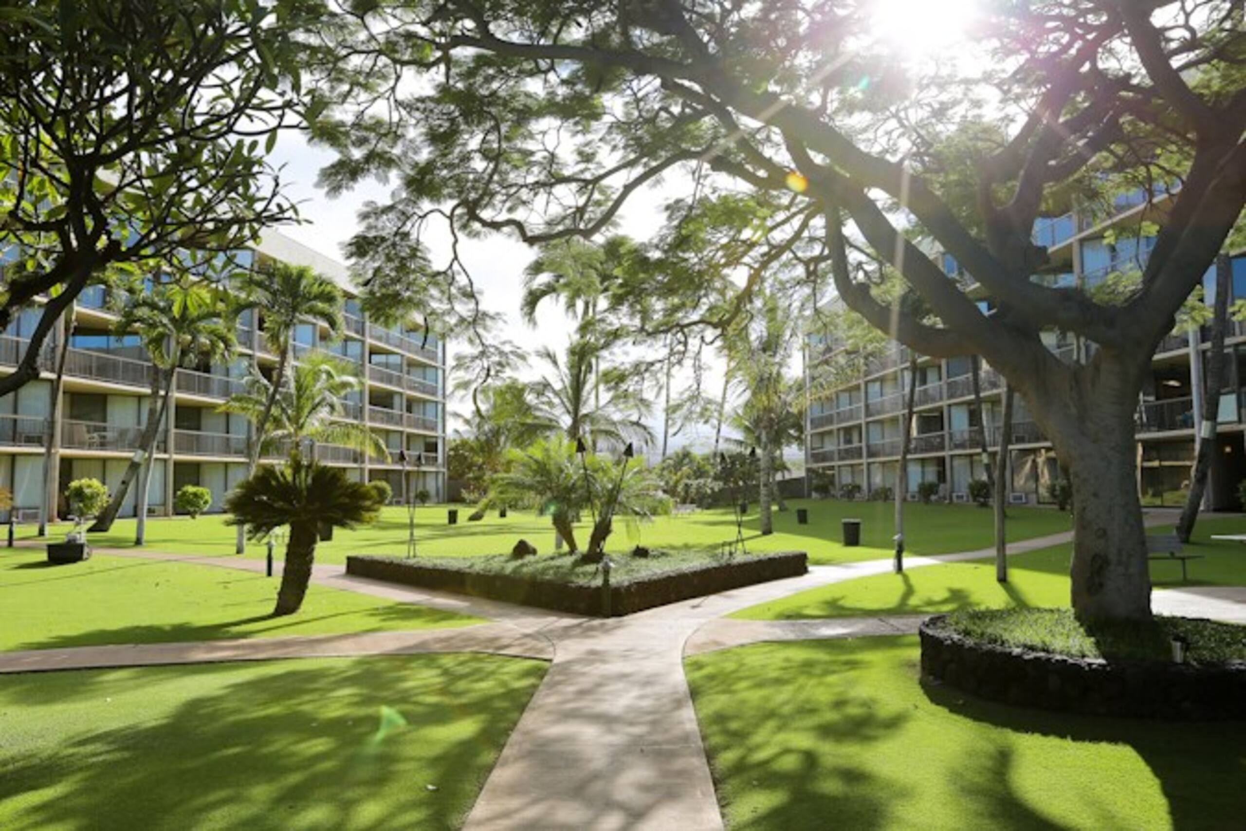 Oceanfront Complex,Ground Flr,Great Rates MSA103 - Photo 35
