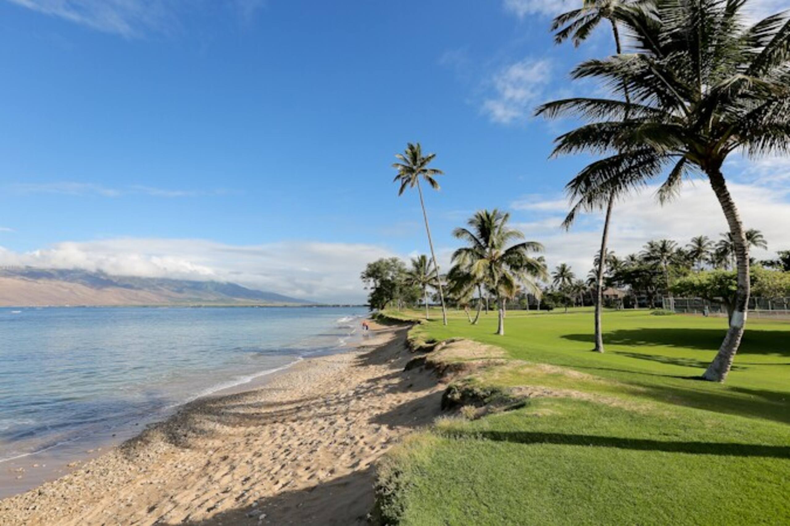 Oceanfront Complex,Ground Flr,Great Rates MSA103 - Photo 8