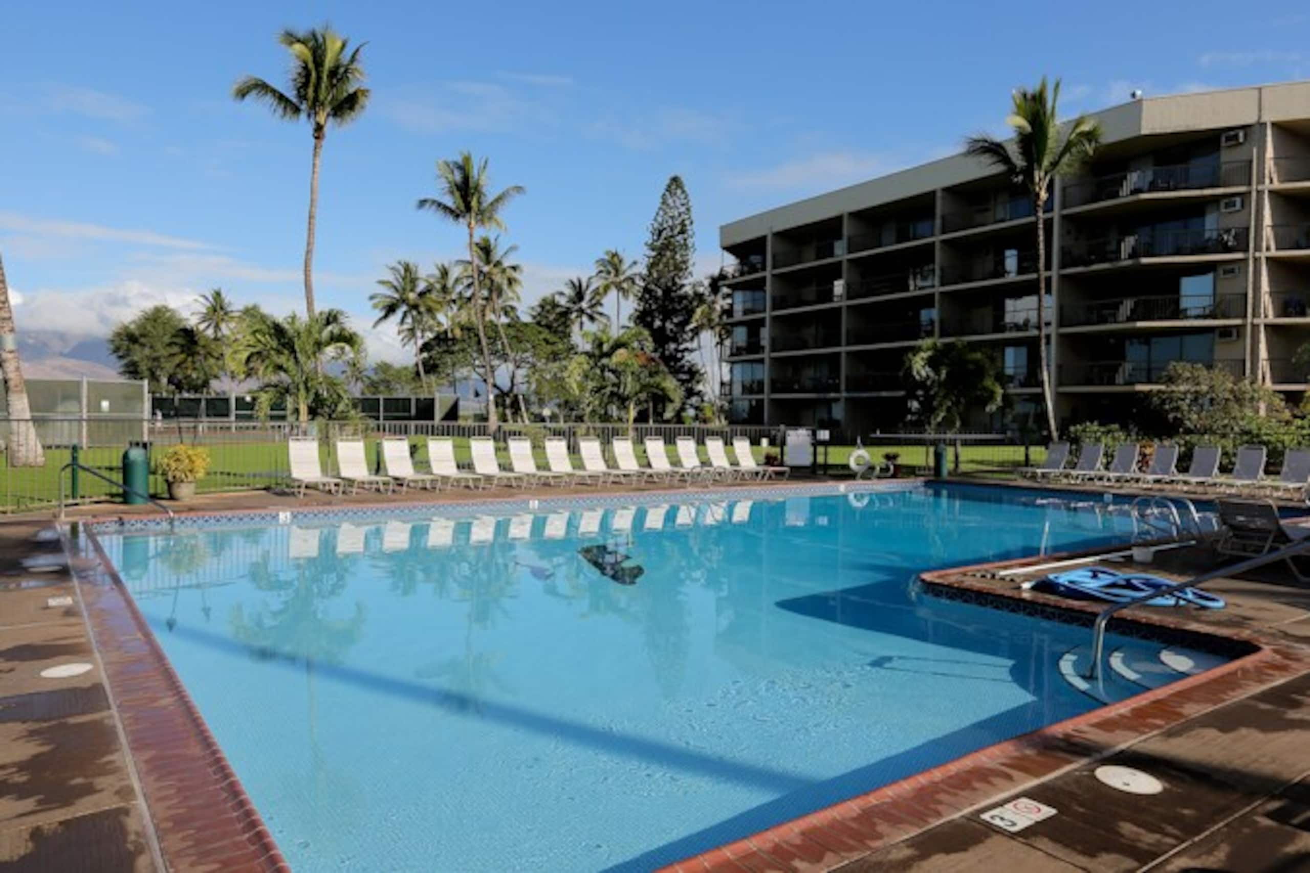 Oceanfront Complex,Ground Flr,Great Rates MSA103 - Photo 1