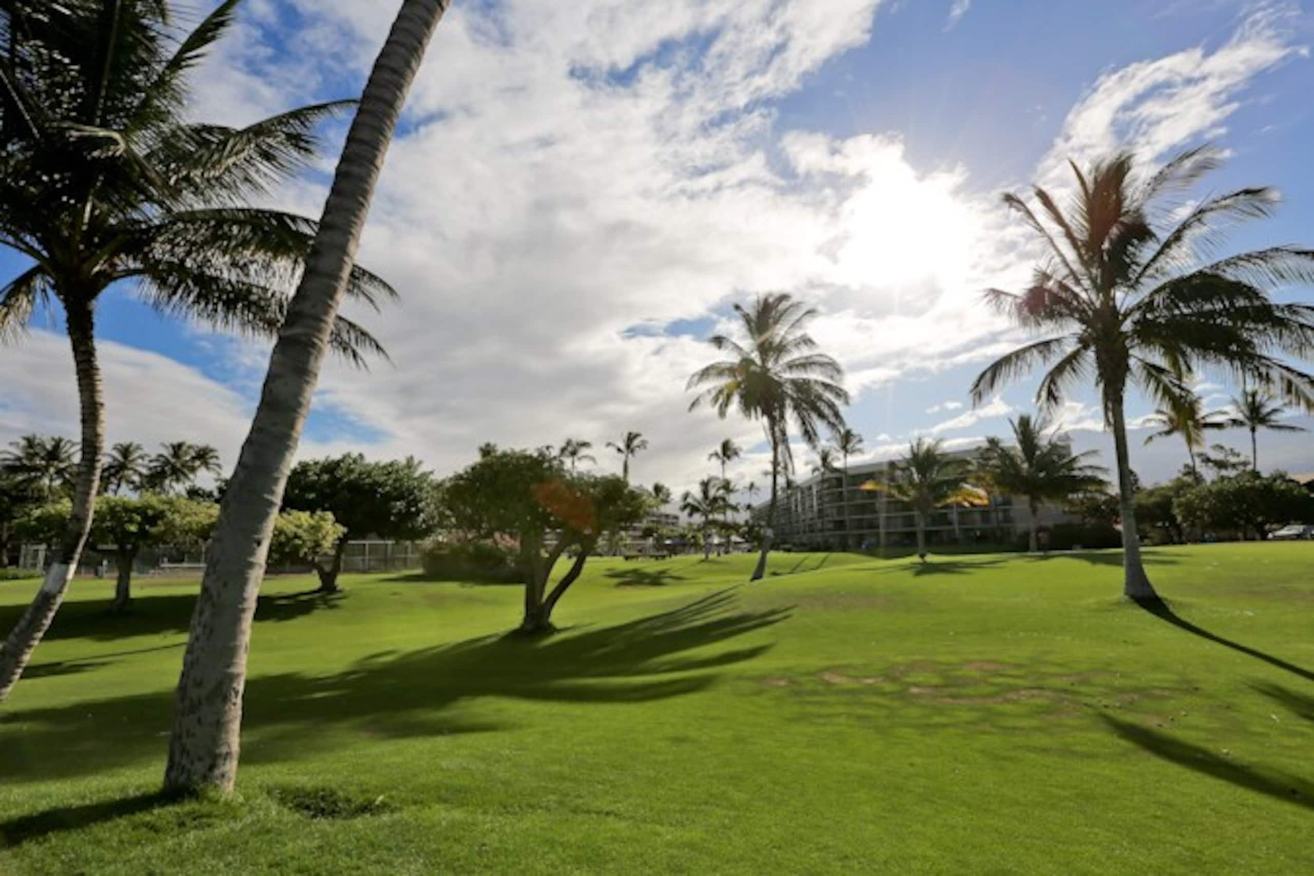 Oceanfront Complex,Ground Flr,Great Rates MSA103 - Photo 24