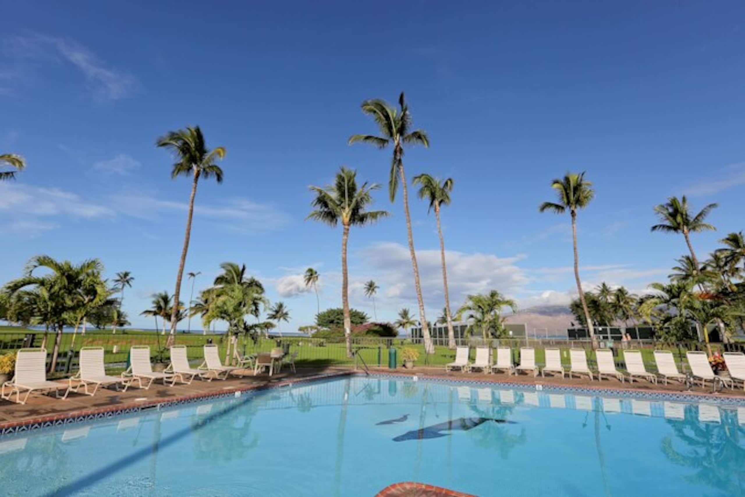 Oceanfront Complex,Ground Flr,Great Rates MSA103 - Photo 32
