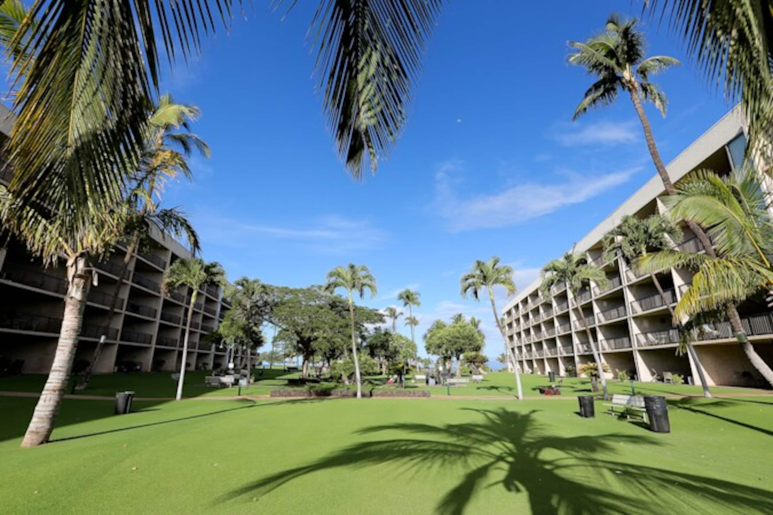 Oceanfront Complex,Ground Flr,Great Rates MSA103 - Photo 36