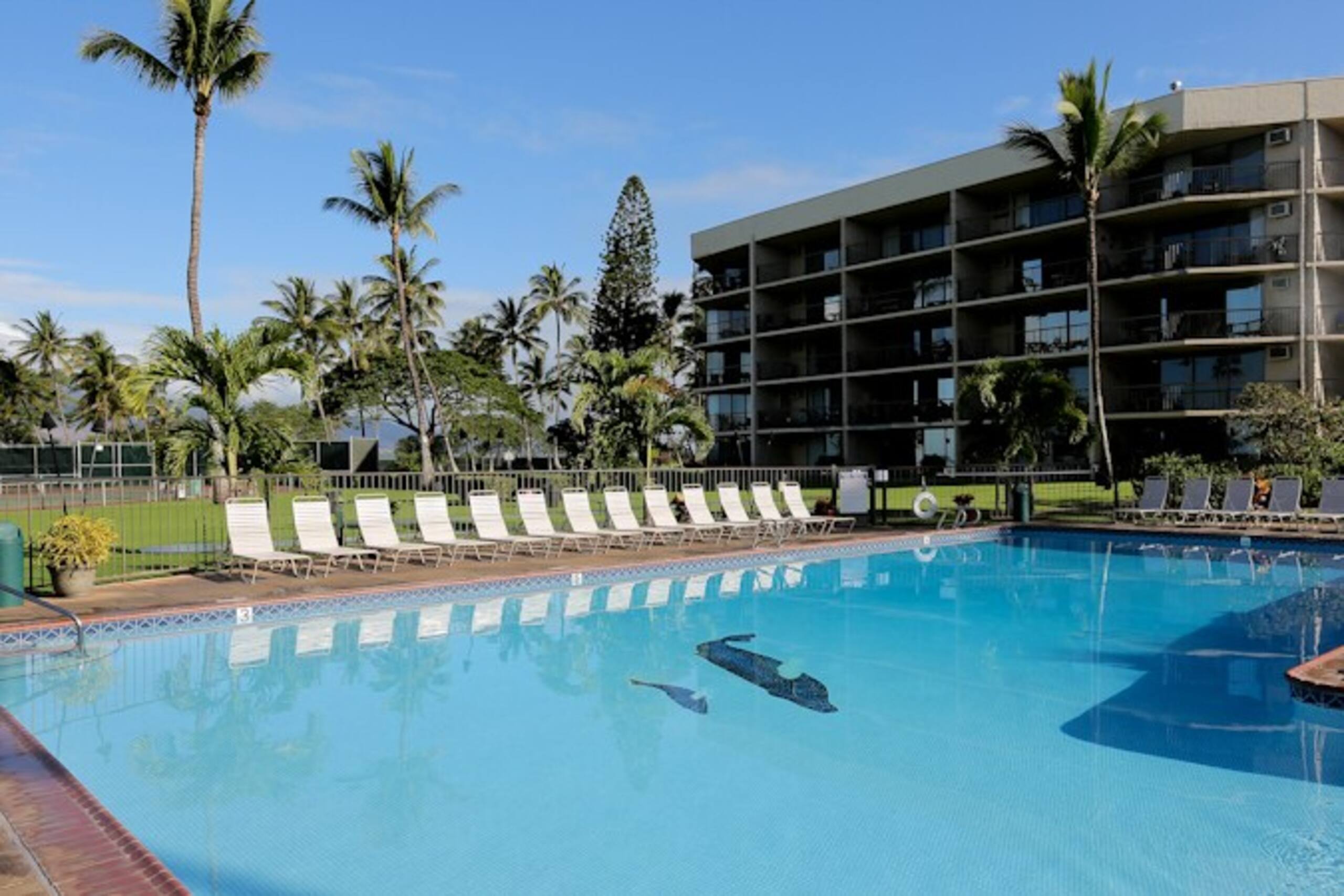 Oceanfront Complex,Ground Flr,Great Rates MSA103 - Photo 23