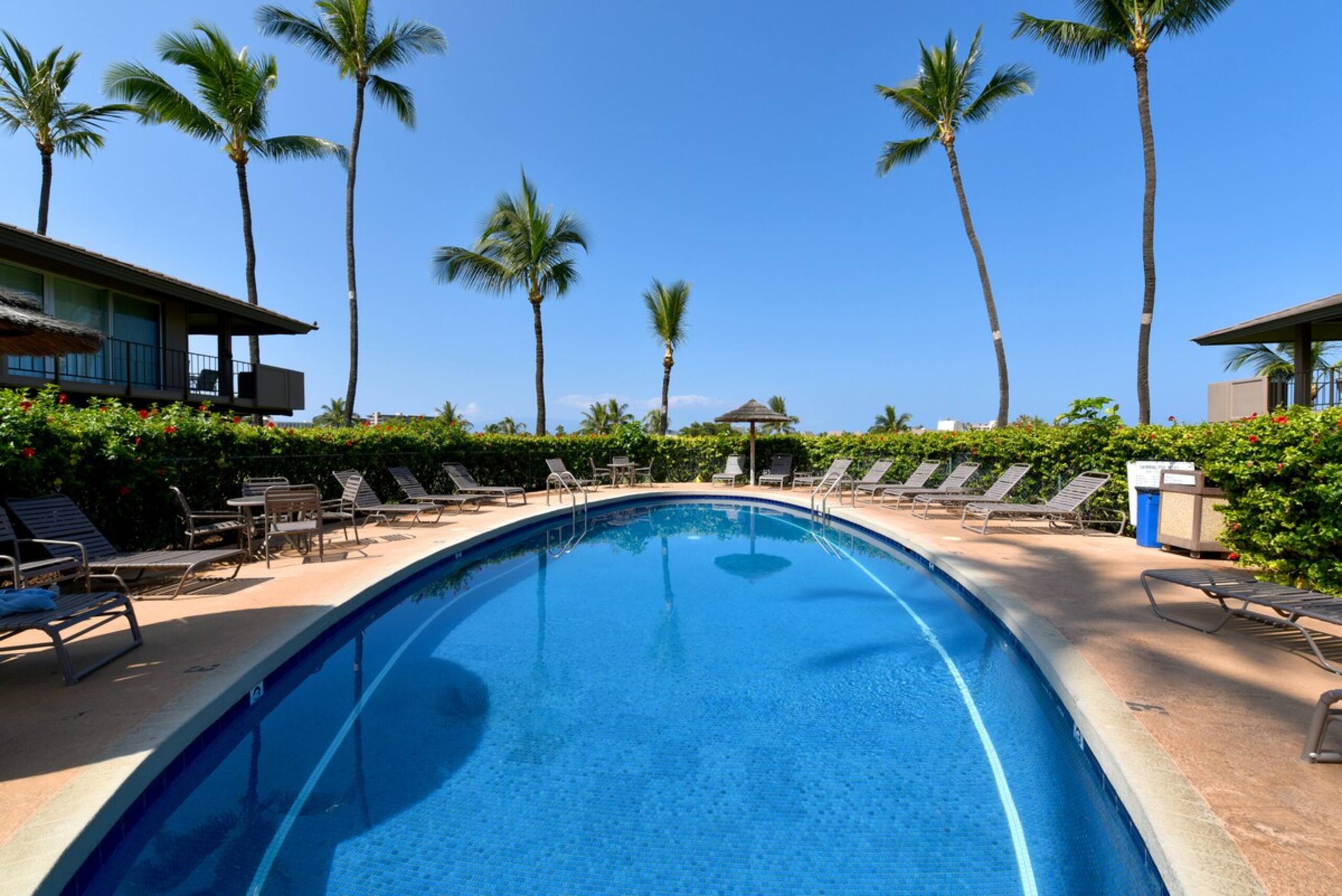 Spacious 1BD w Pool & Beach Cabana - THE E104 - Photo 38