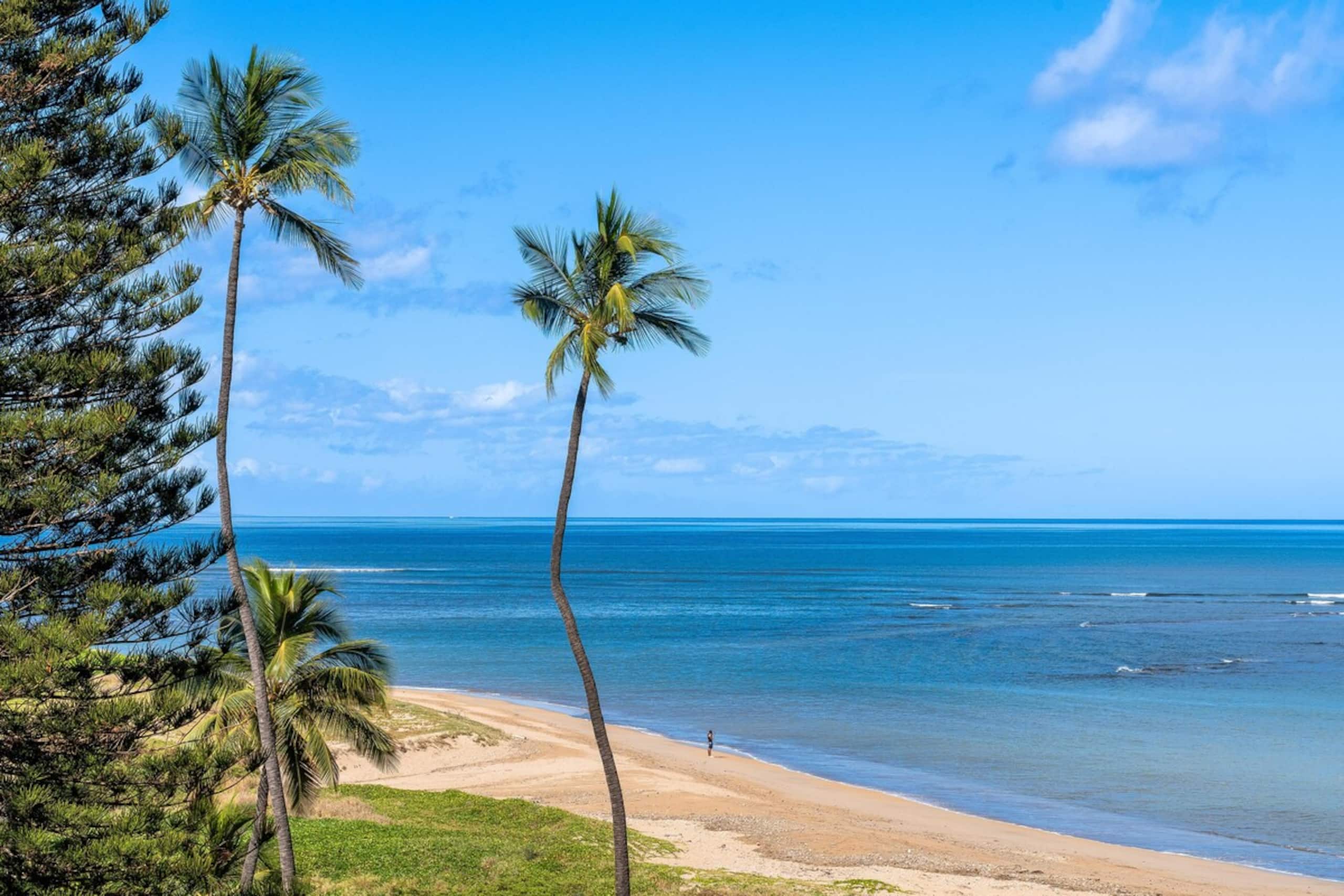 Oceanfront Paradise Menehune Shores 526 - Photo 27