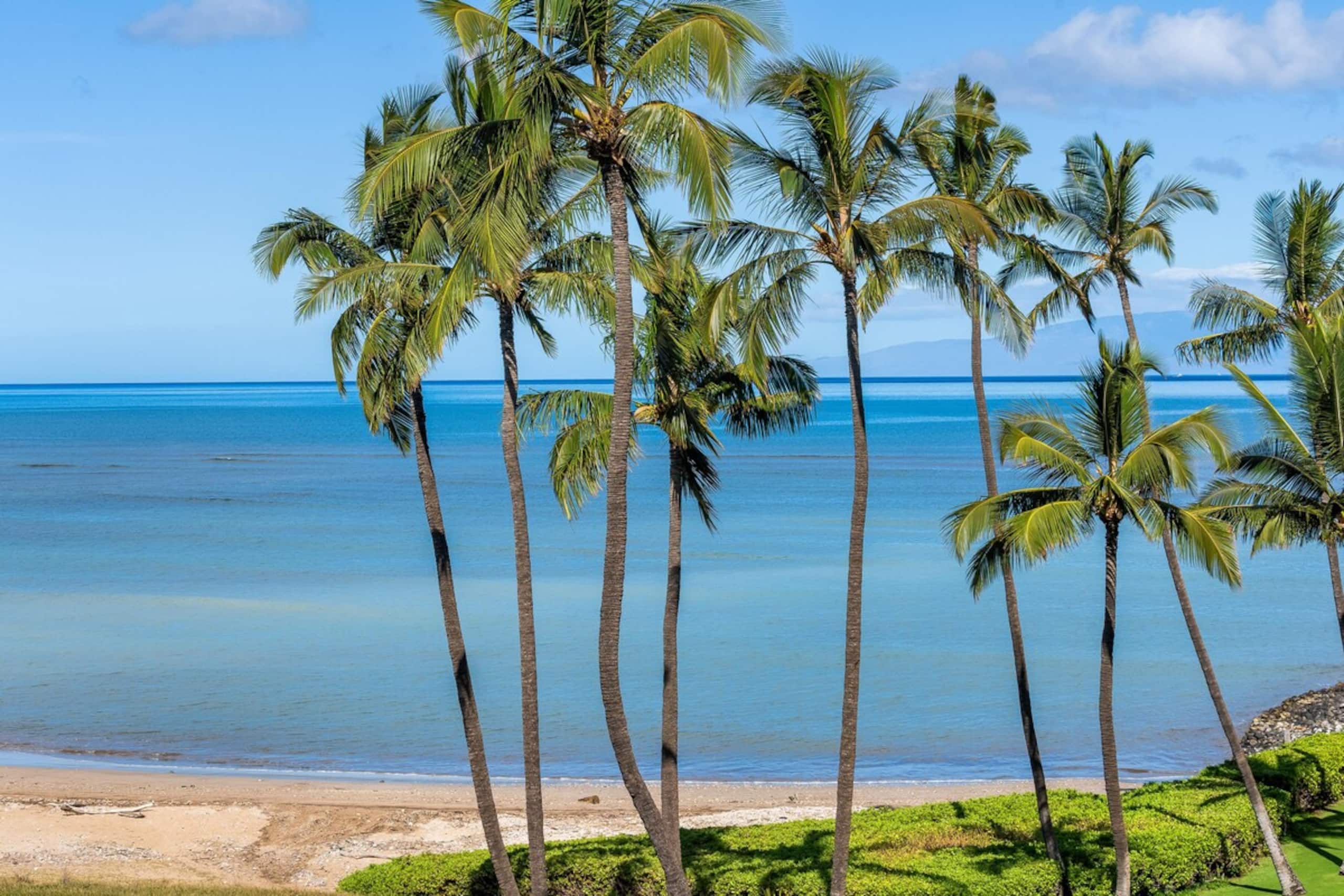 Oceanfront Paradise Menehune Shores 526 - Photo 22