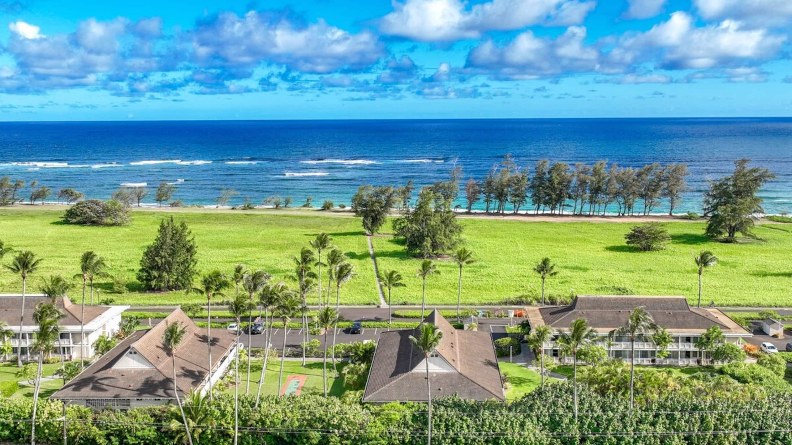 Shaka Shack - Photo 9