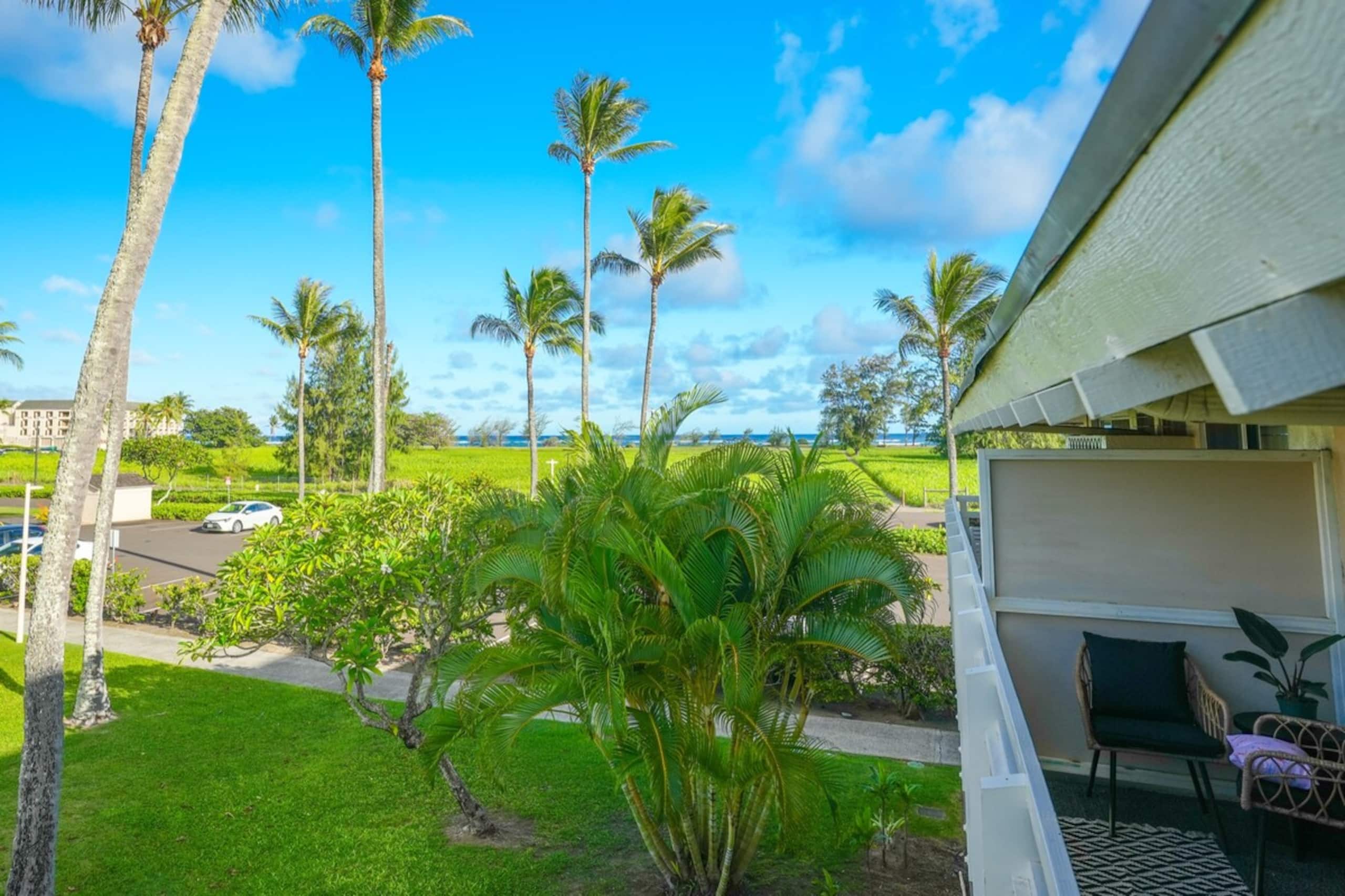Shaka Shack - Photo 8