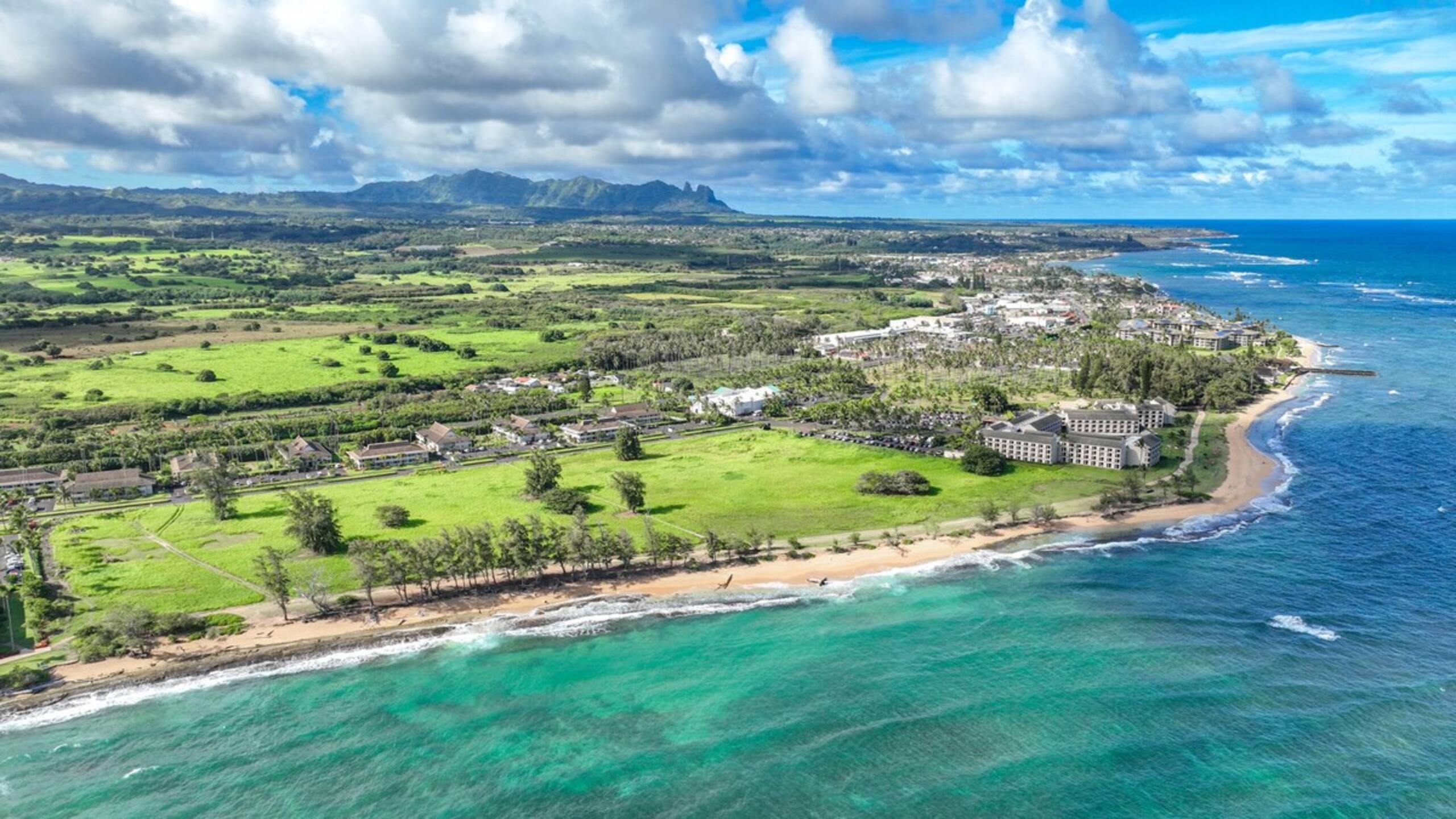 Shaka Shack - Photo 10