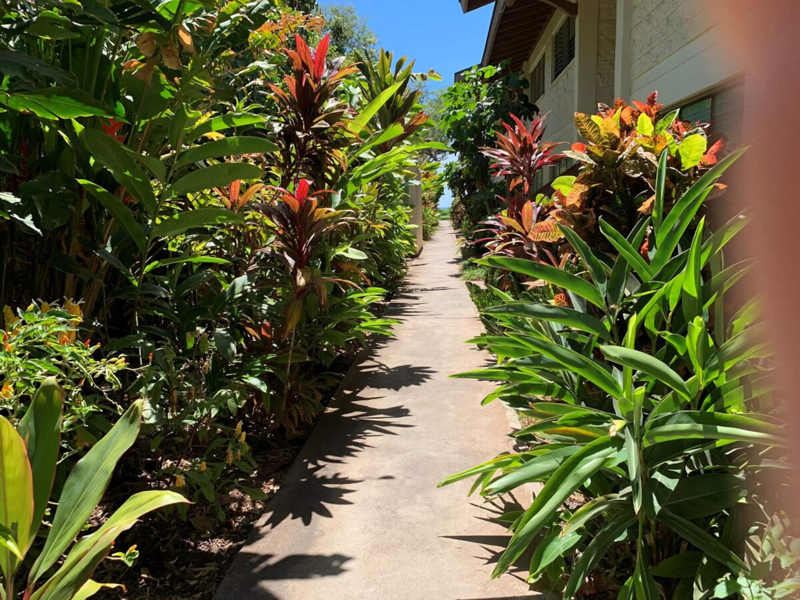 Oceanfront Complex Ground Floor Garden View WB120 - Photo 26