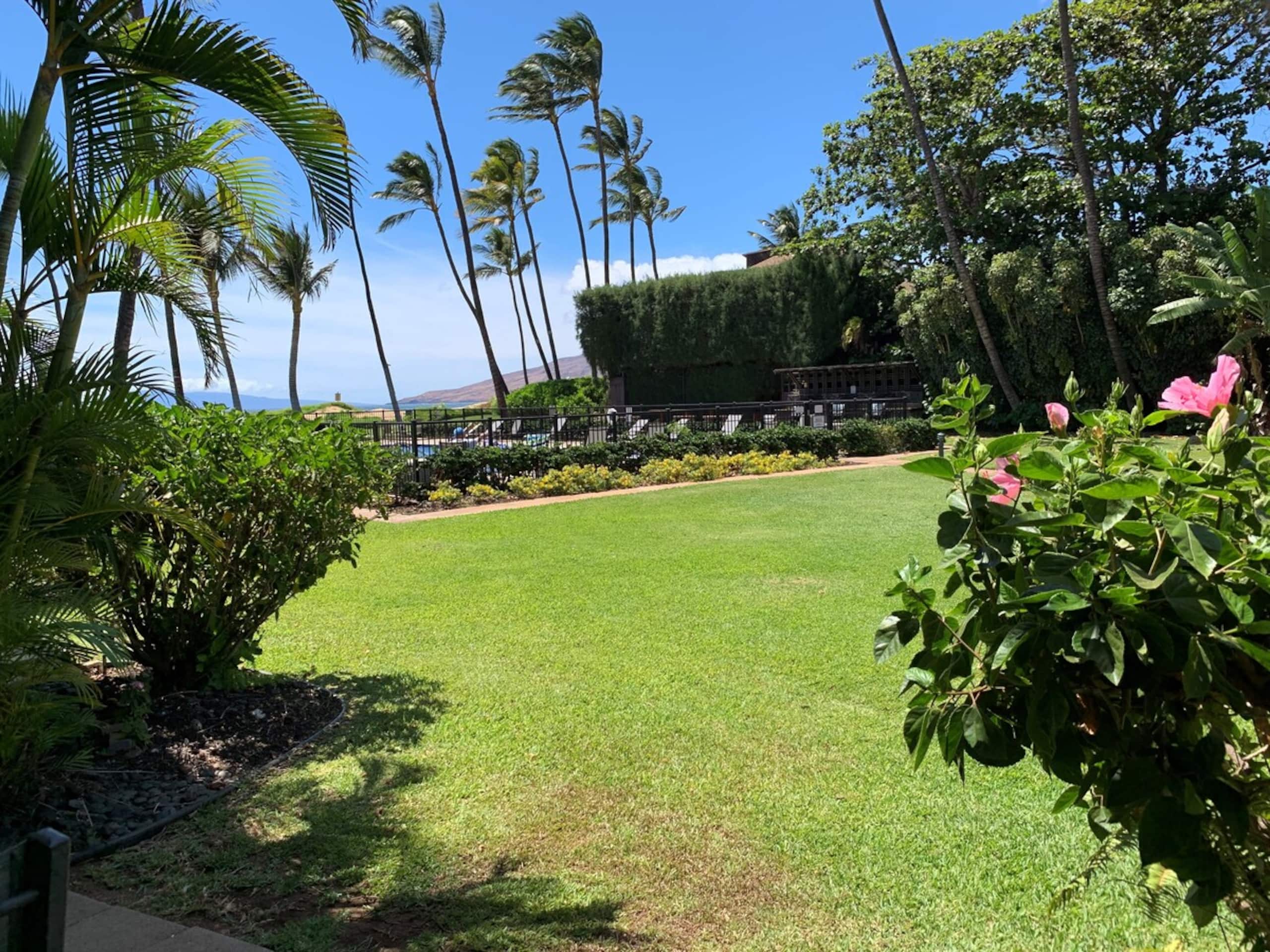 Oceanfront Complex Ground Floor Garden View WB120 - Photo 23