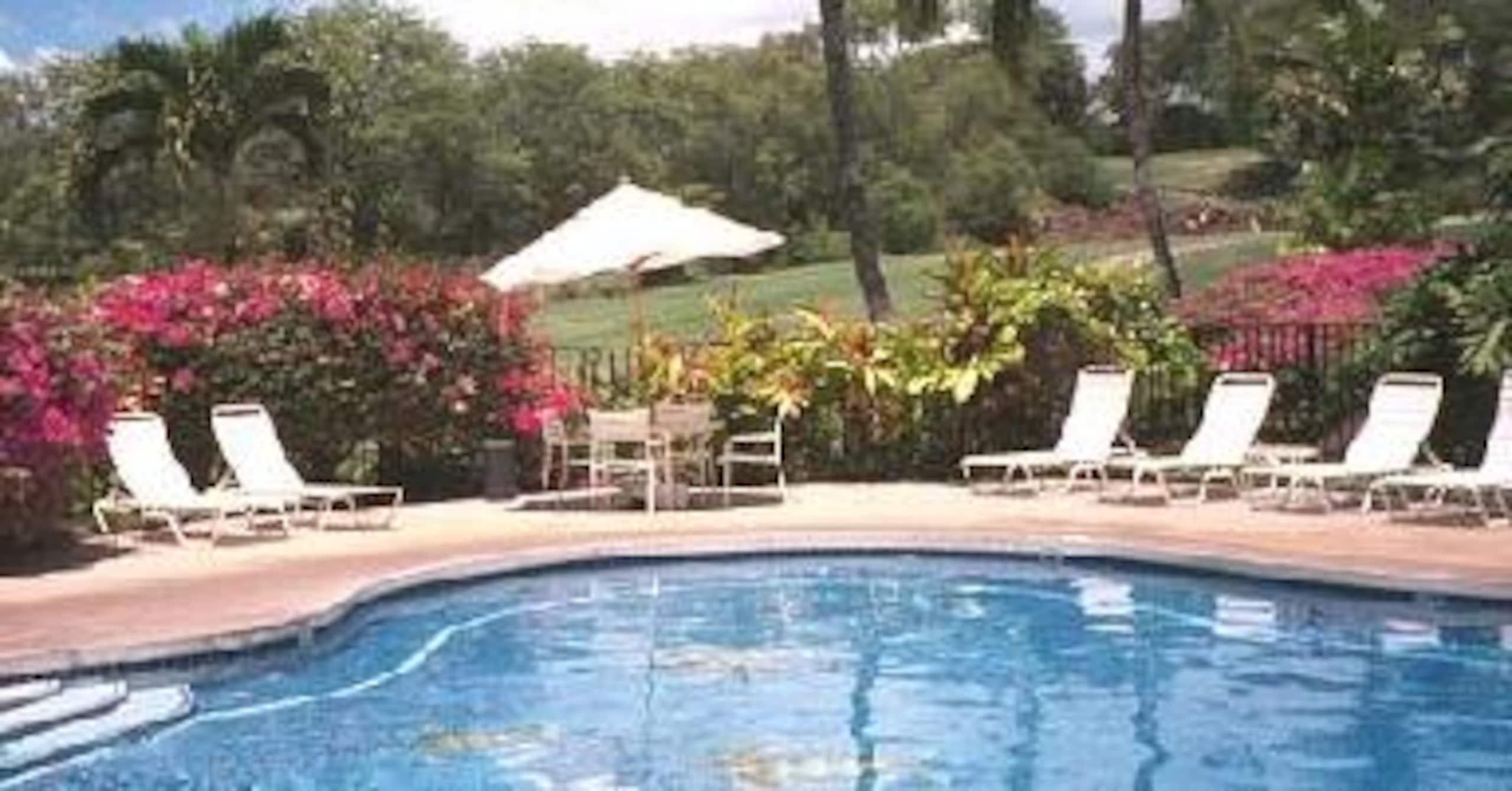 Great Wailea, Maui Condo - Photo 20