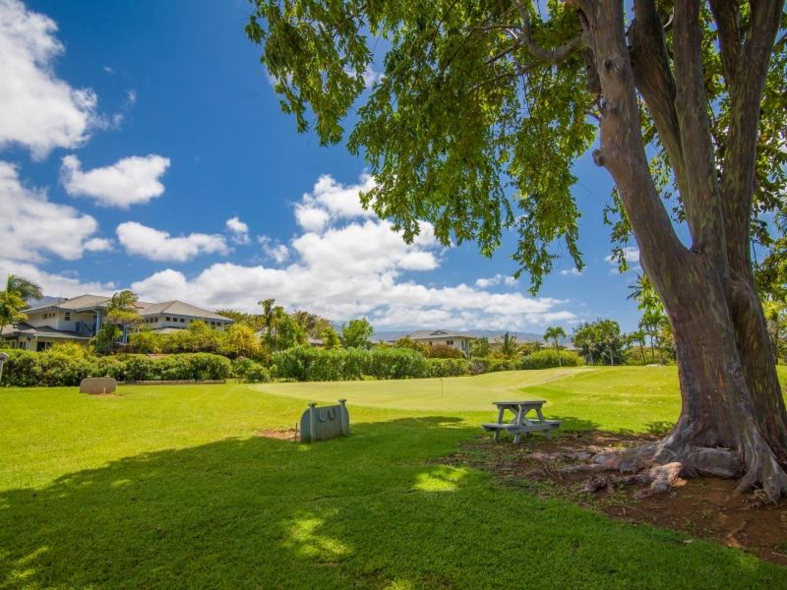 Perfect Island Getaway With Ocean Views at Cliffs - Photo 20