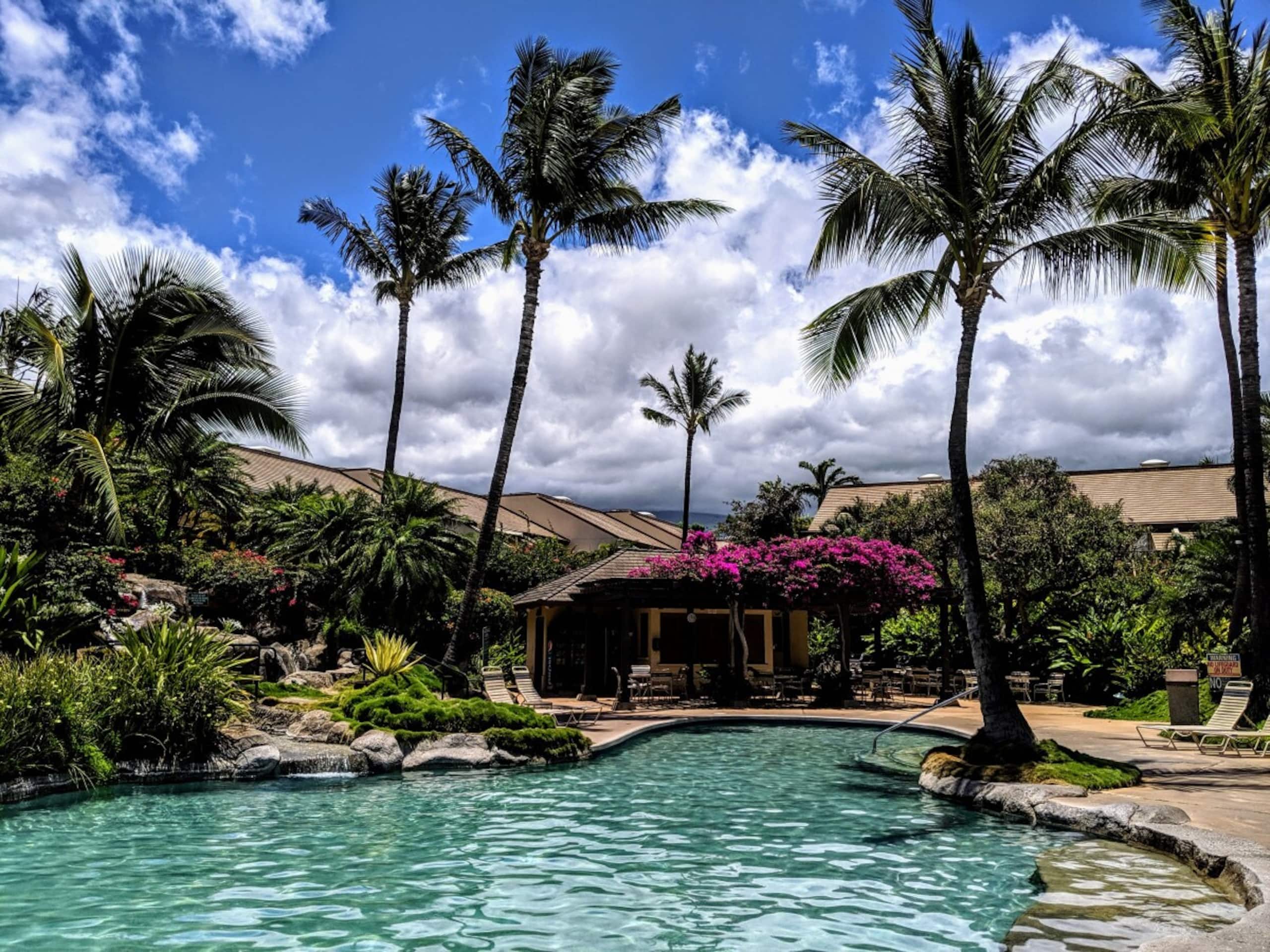 Maui Kamaole i210 Kihei Ocean View & Whales - Photo 11