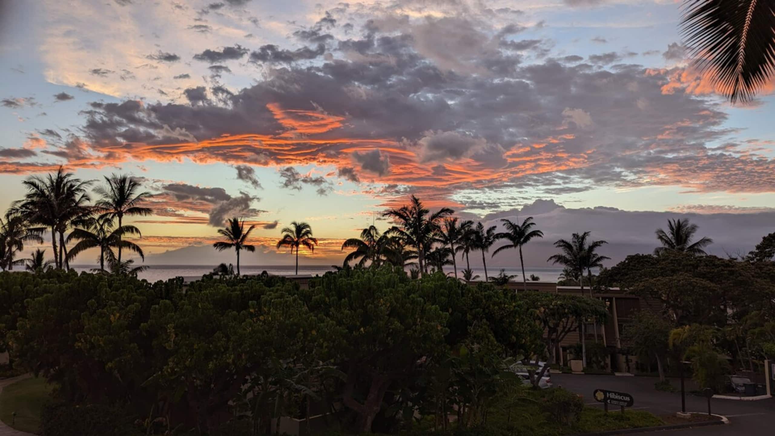 Maui Kamaole i210 Kihei Ocean View & Whales - Photo 17