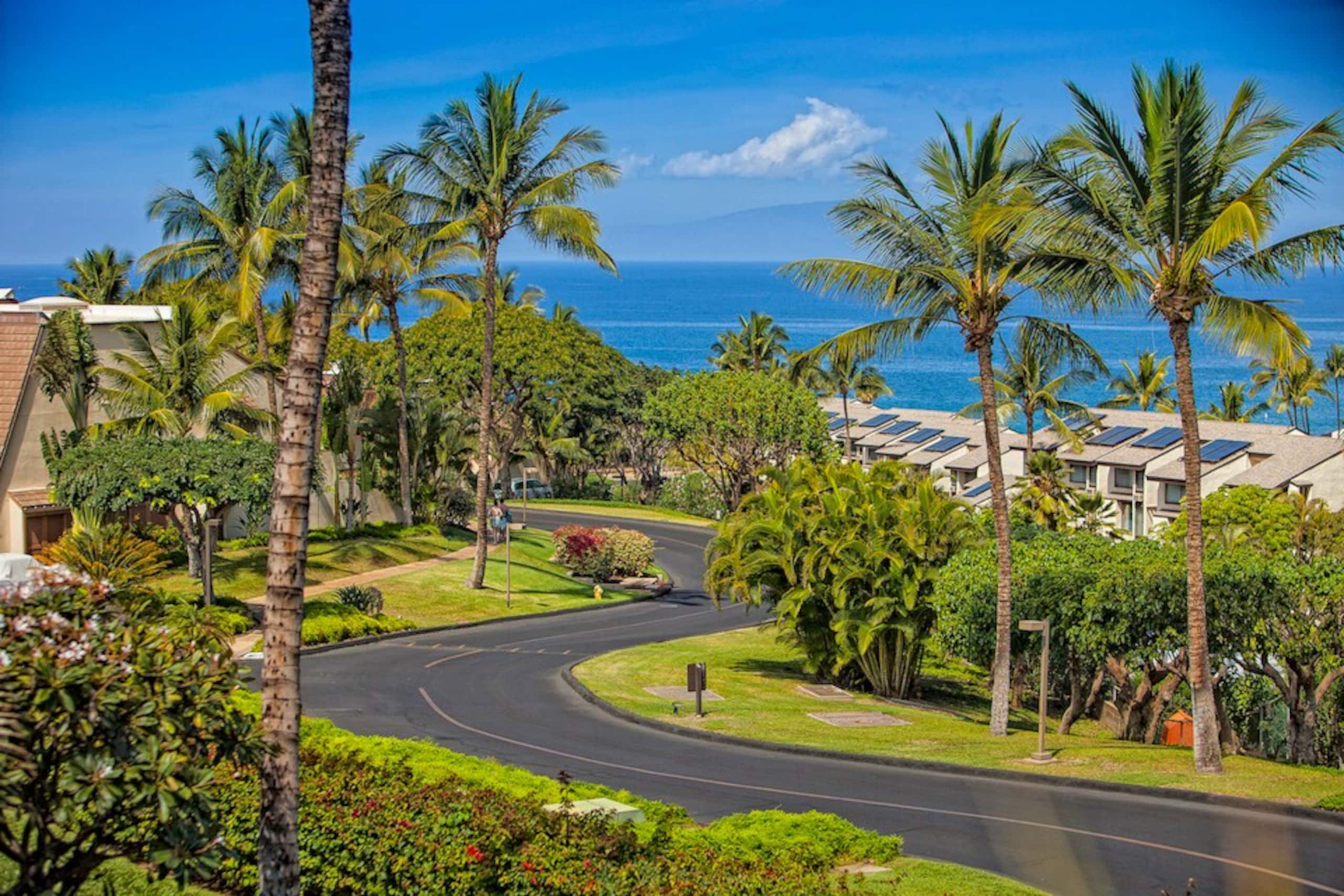 Beachfront Kihei condo w/ pool and hot tub - Photo 38