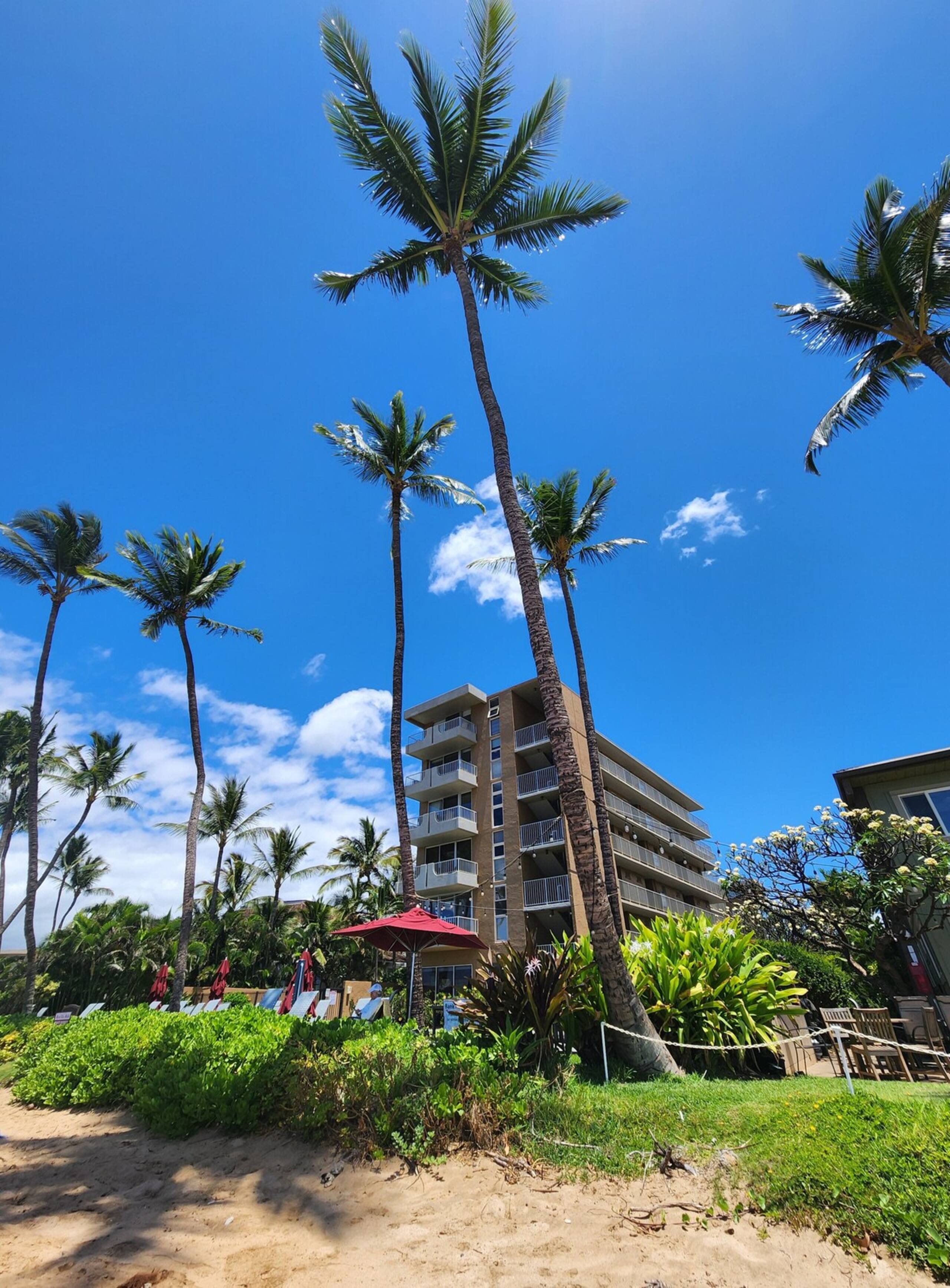 Beachfront Condo with Ocean View & Pool - Photo 17