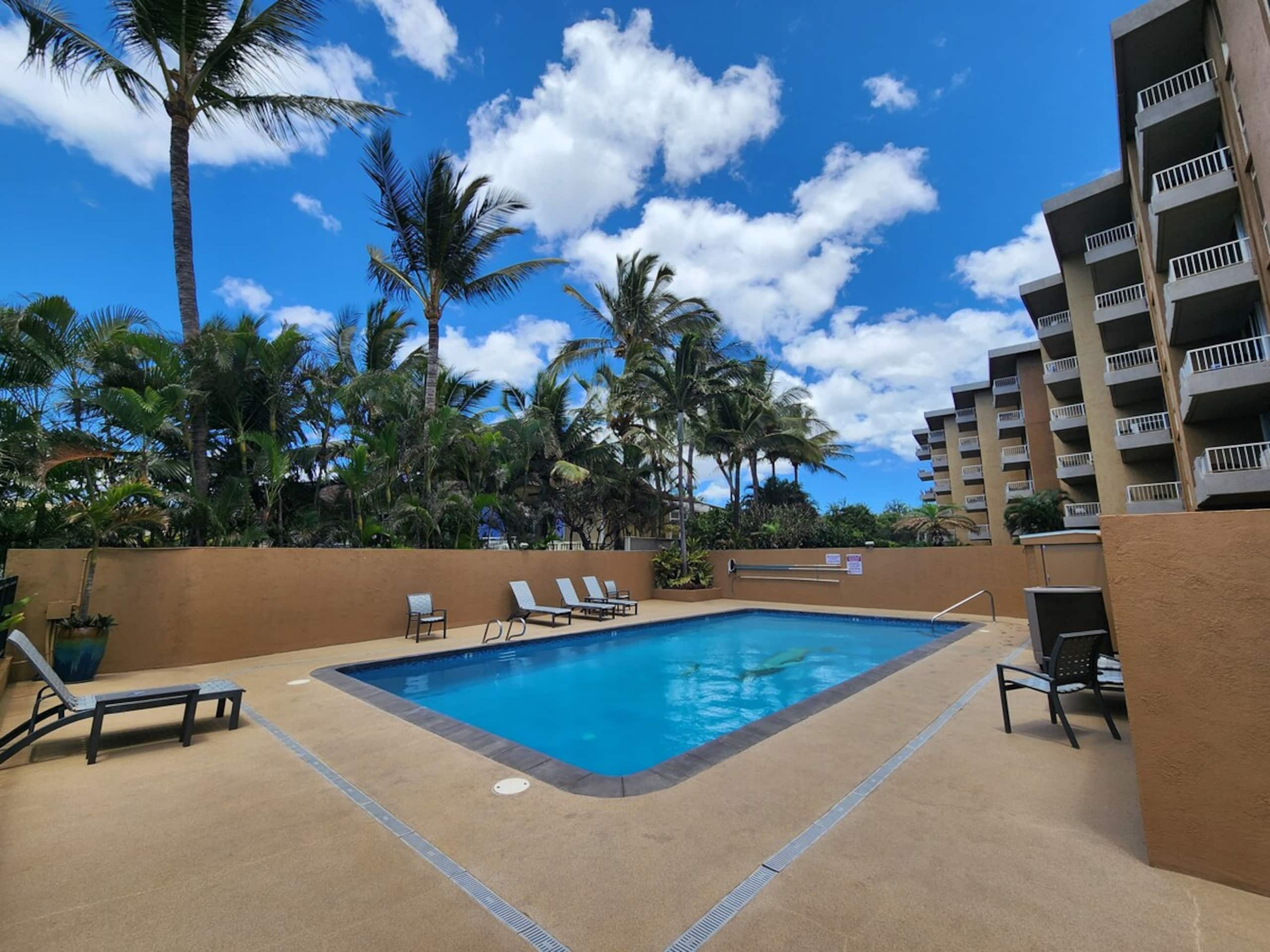 Beachfront Condo with Ocean View & Pool - Photo 22
