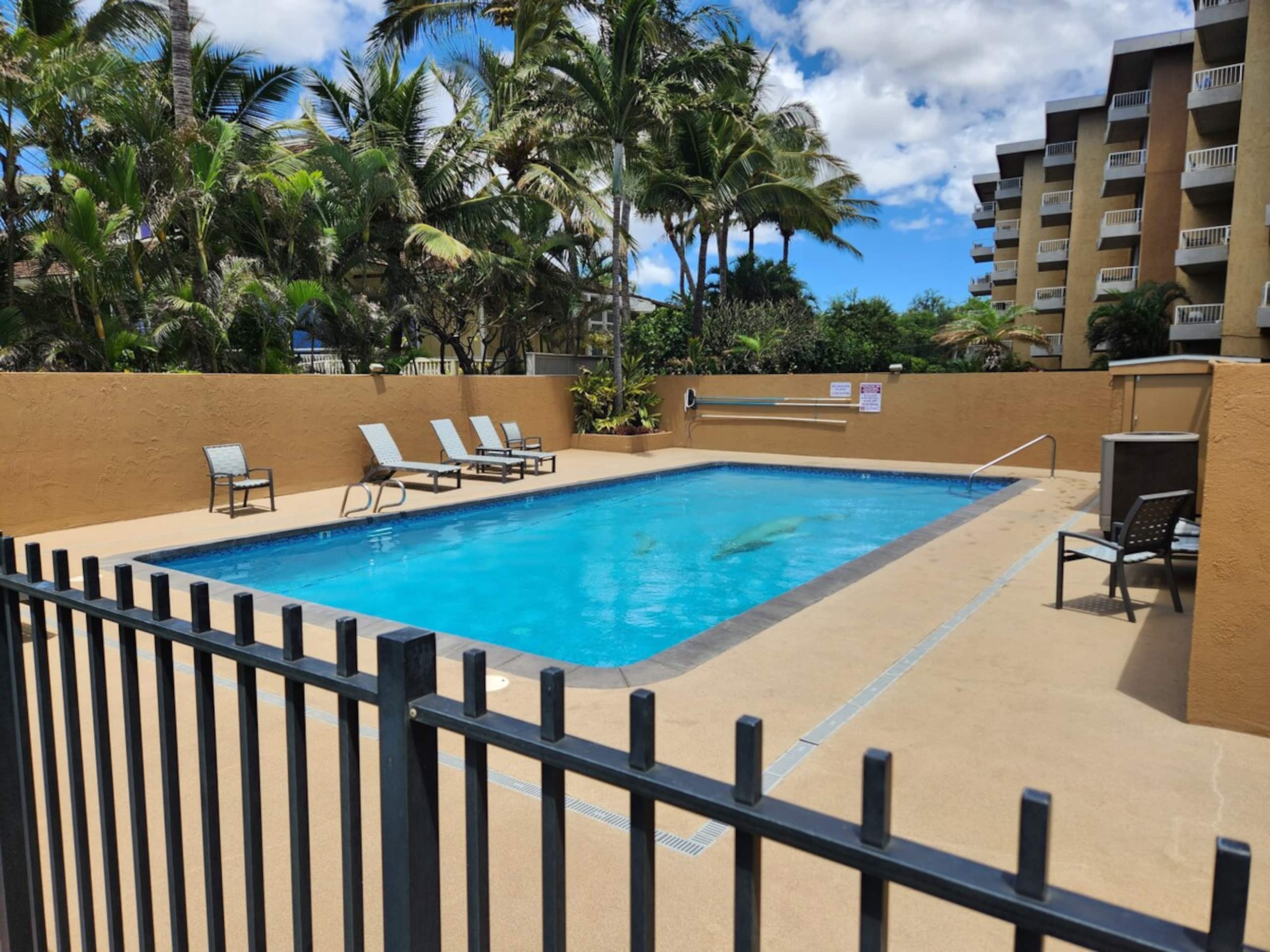 Beachfront Condo with Ocean View & Pool - Photo 20