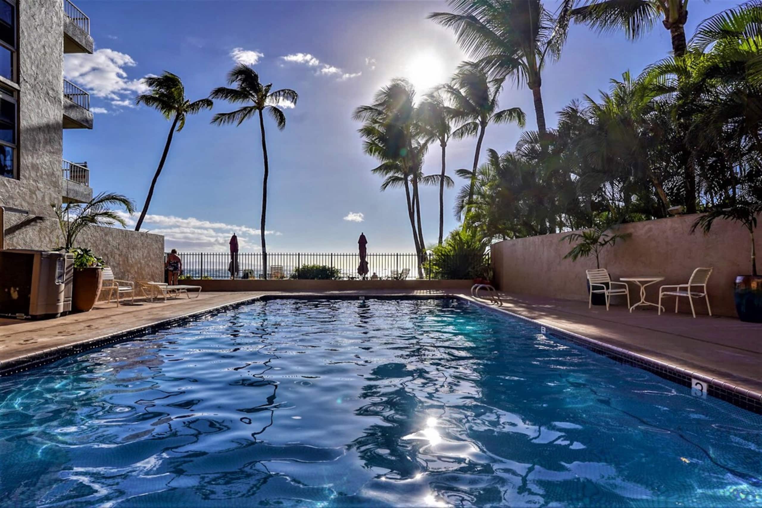 Beachfront Condo with Ocean View & Pool - Photo 27