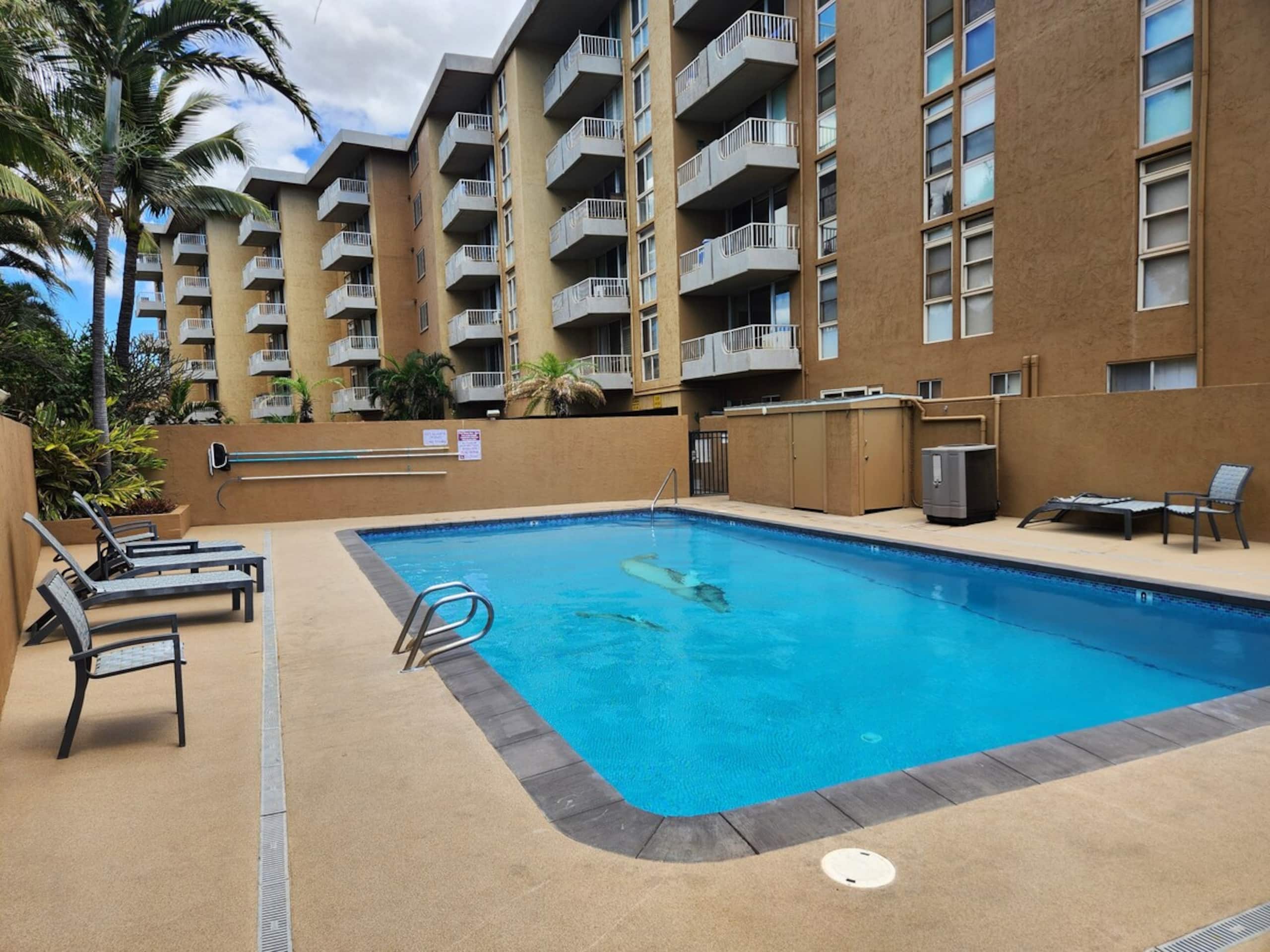 Beachfront Condo with Ocean View & Pool - Photo 19