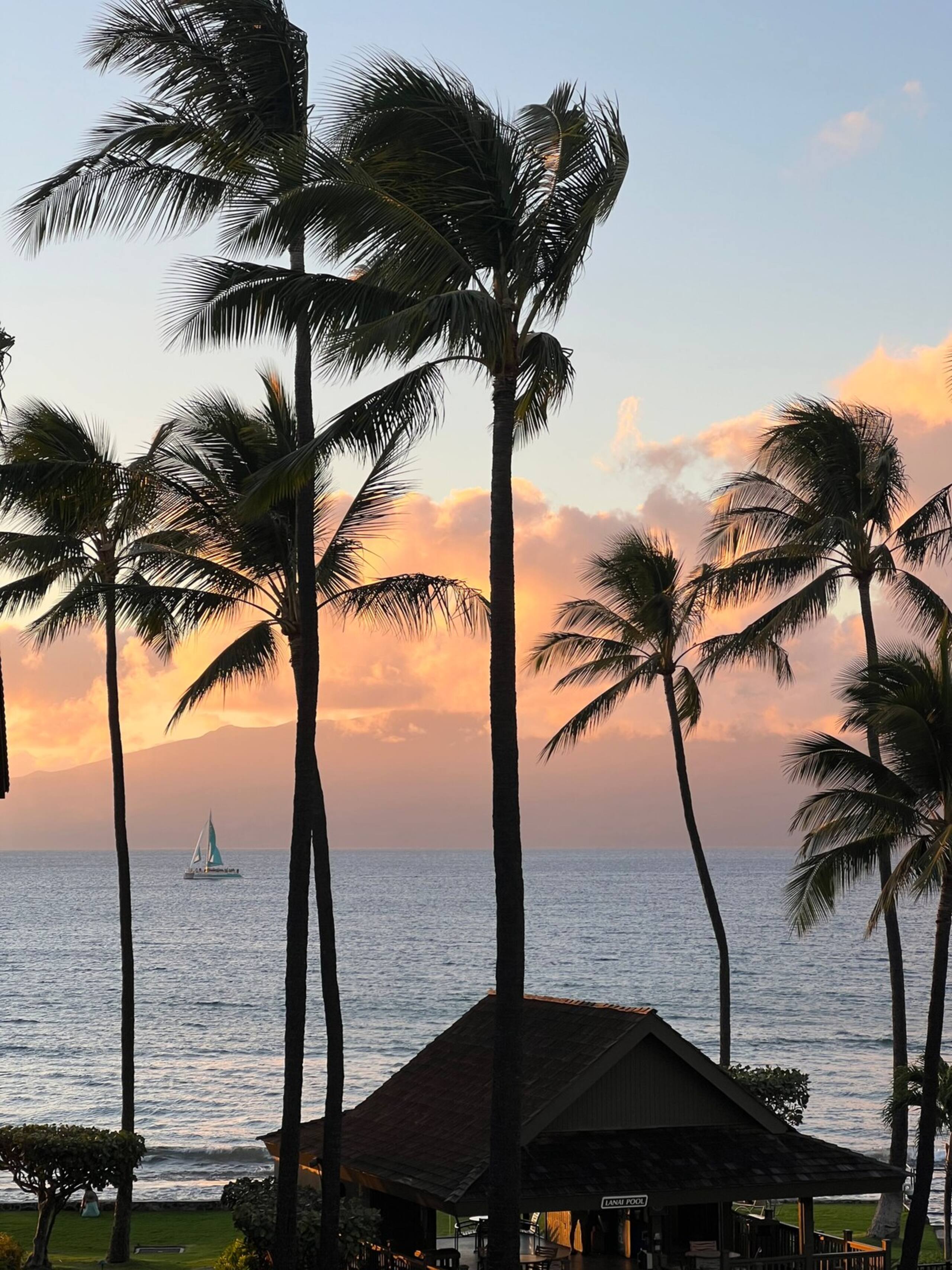 Stunning 2BR/2BA Top Flr Ocean View + Mountains - Photo 11