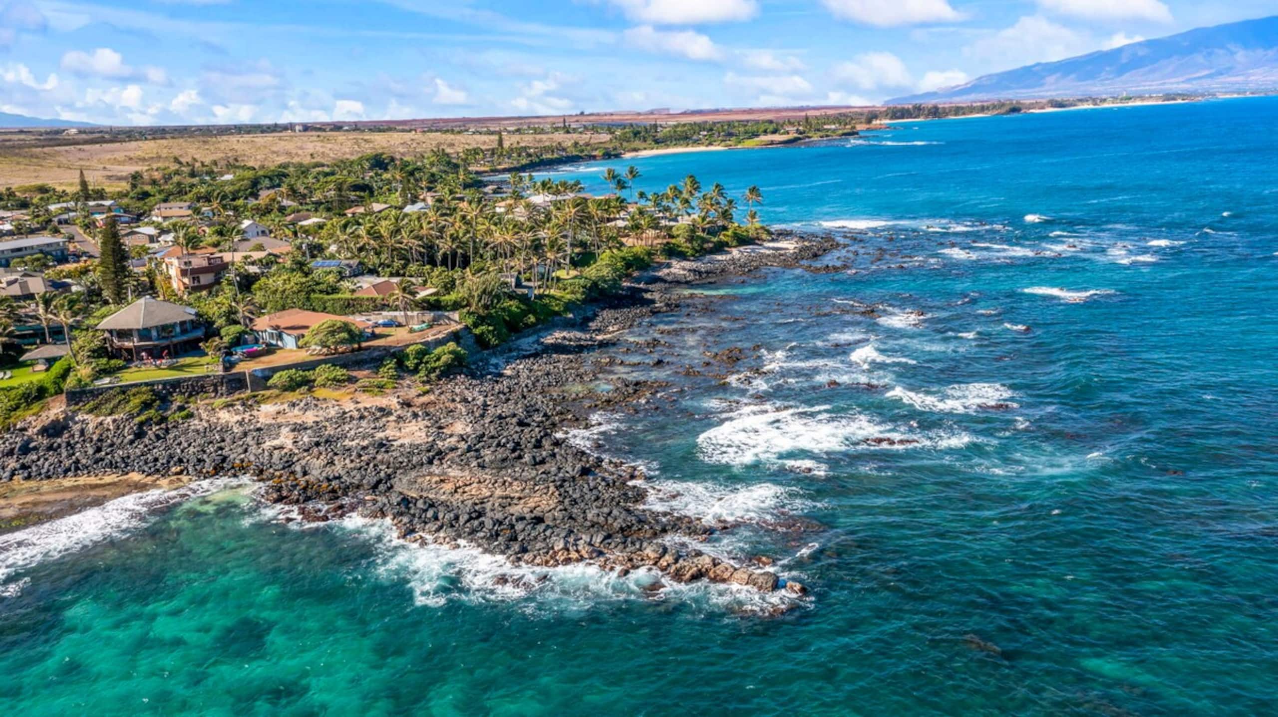 Ku'au Paia - Walk to the Beach! - Photo 35