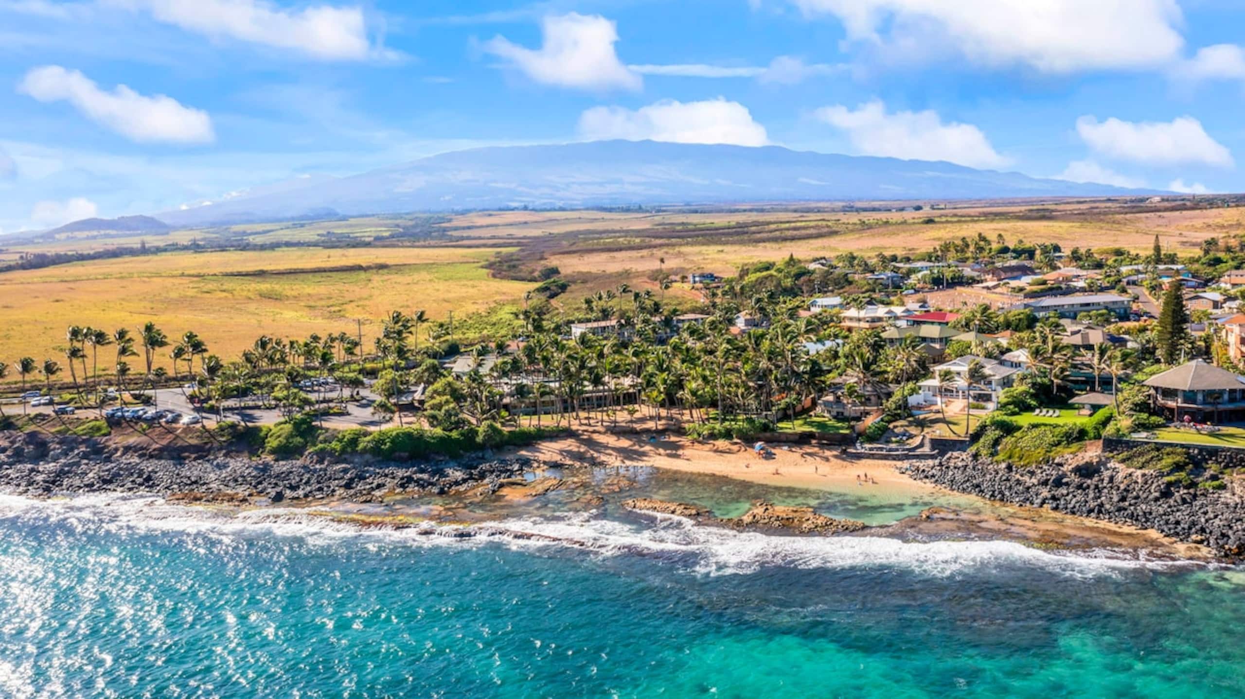 Ku'au Paia - Walk to the Beach! - Photo 22