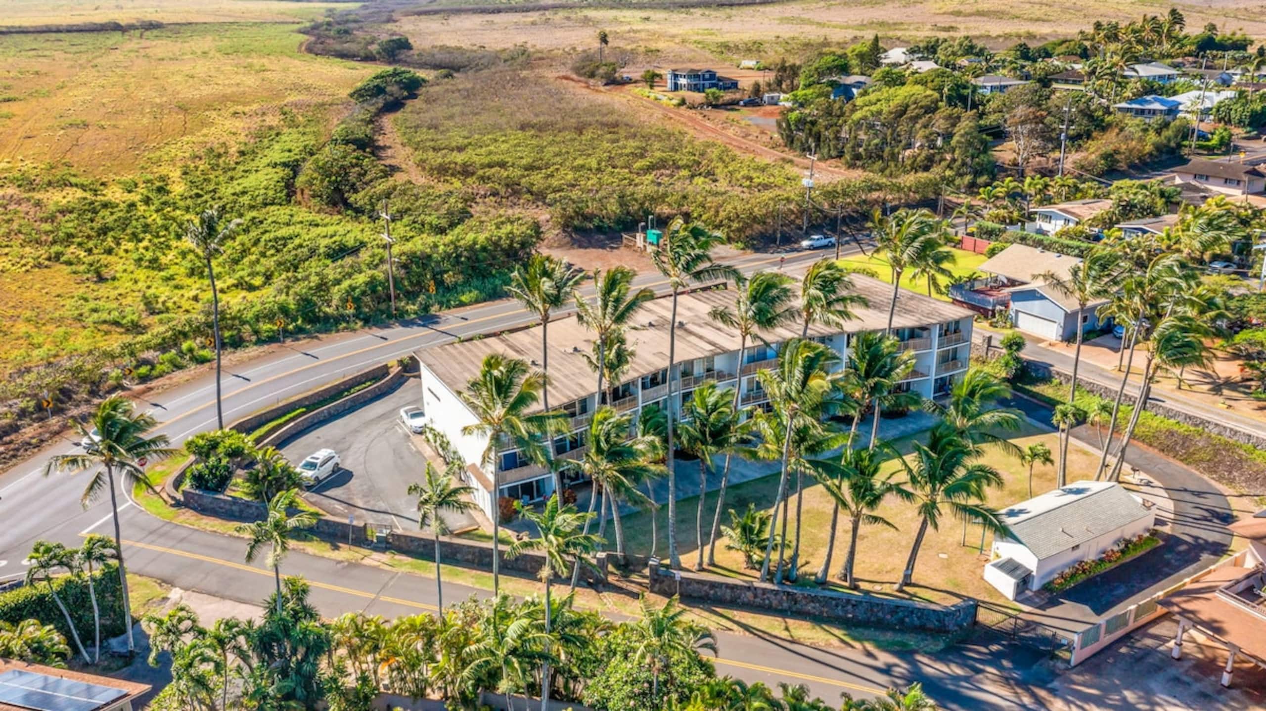 Ku'au Paia - Walk to the Beach! - Photo 28