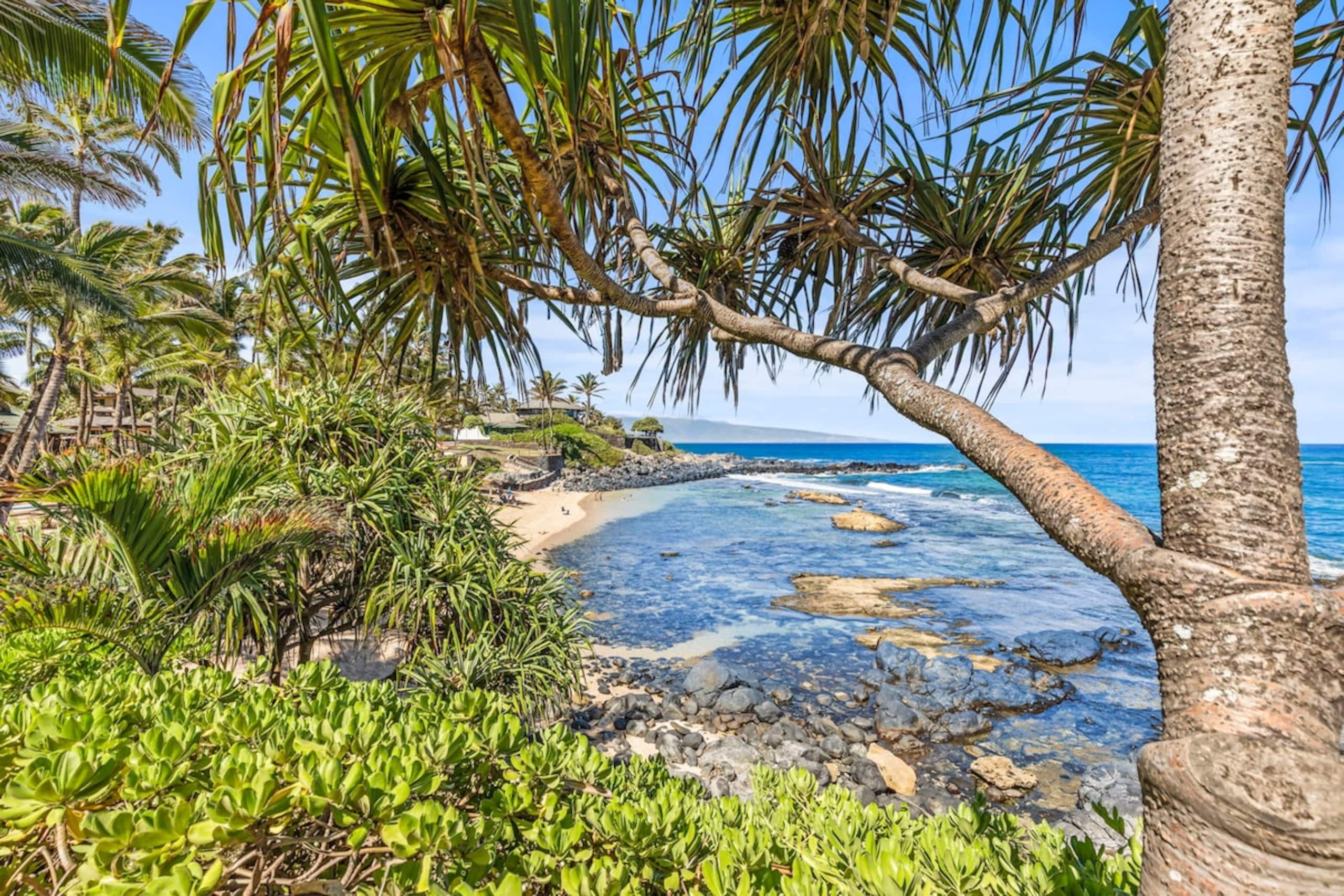 Ku'au Paia - Walk to the Beach! - Photo 31