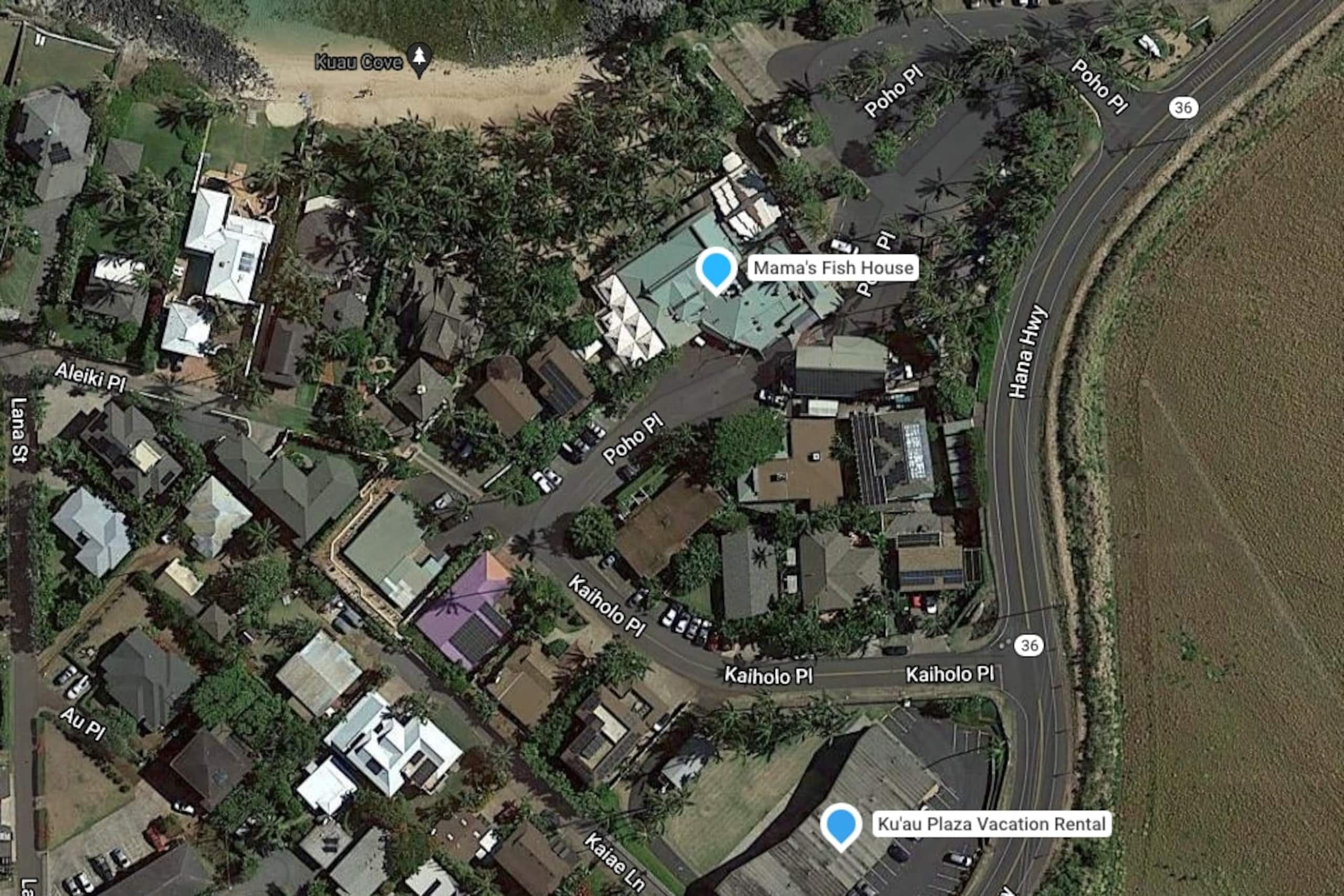 Ku'au Paia - Walk to the Beach! - Photo 39
