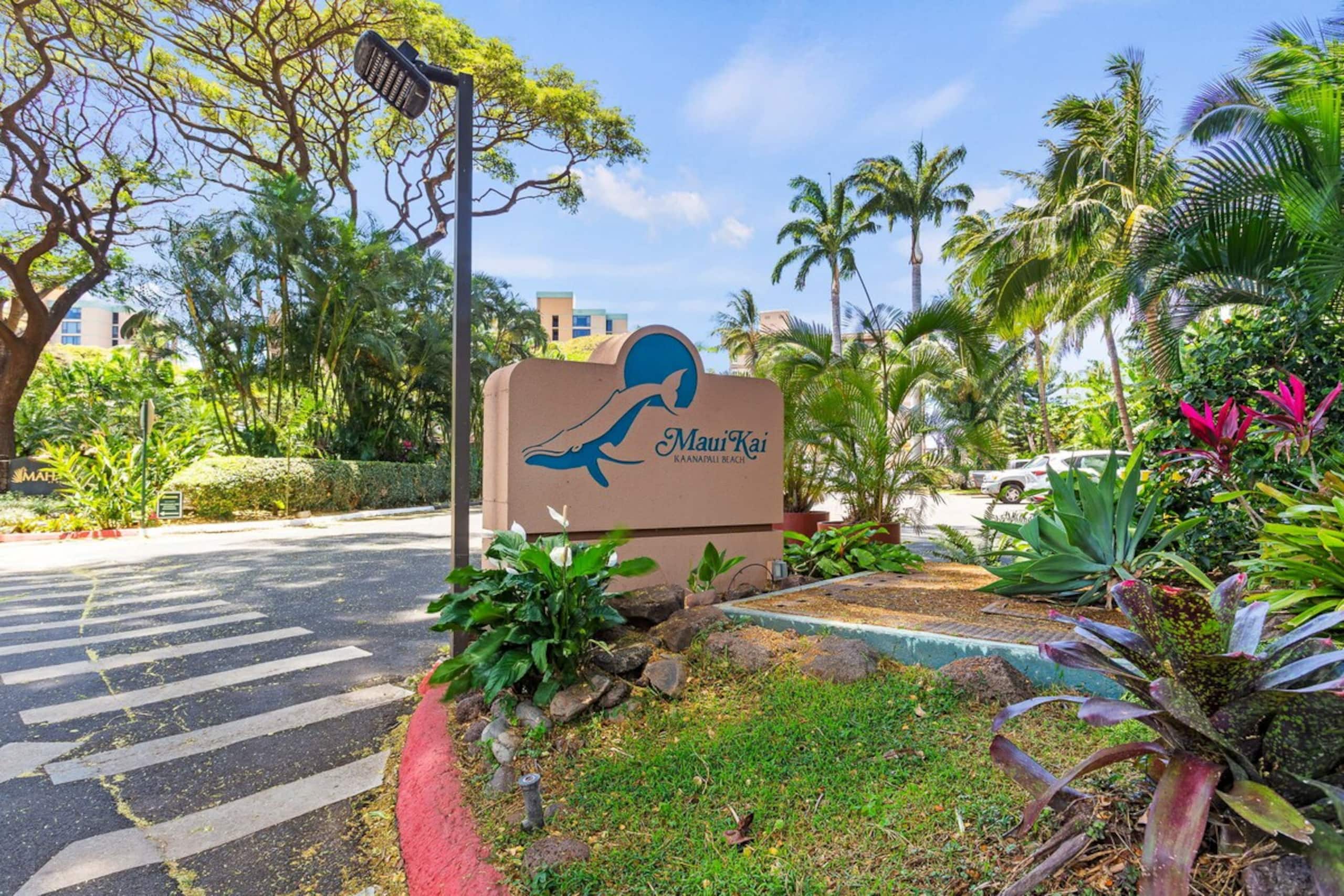 Oceanfront Studio w/Central AC & Sunset View - Photo 44
