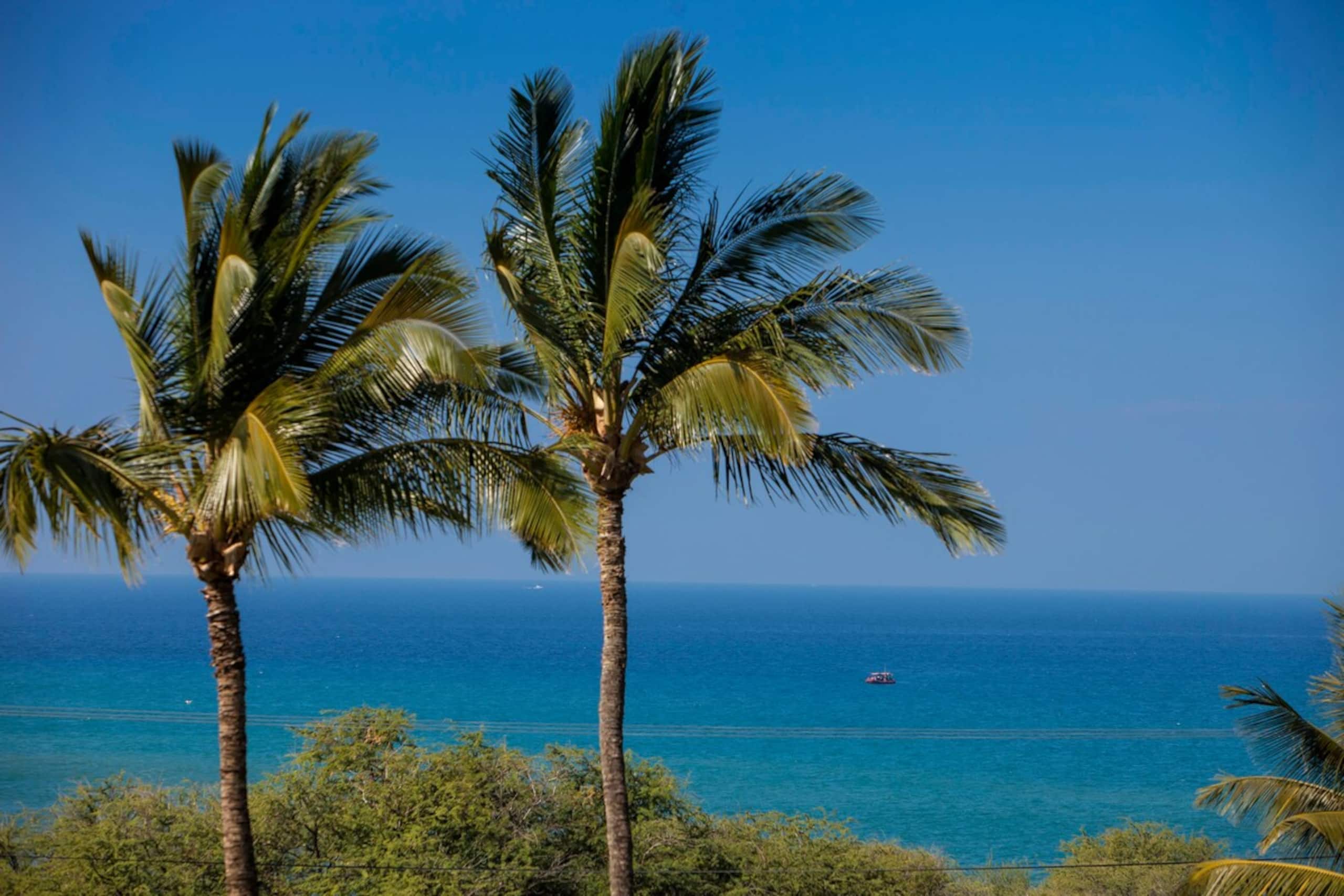 Ocean View Condo w/ Pool & Hot Tub Access - Photo 41