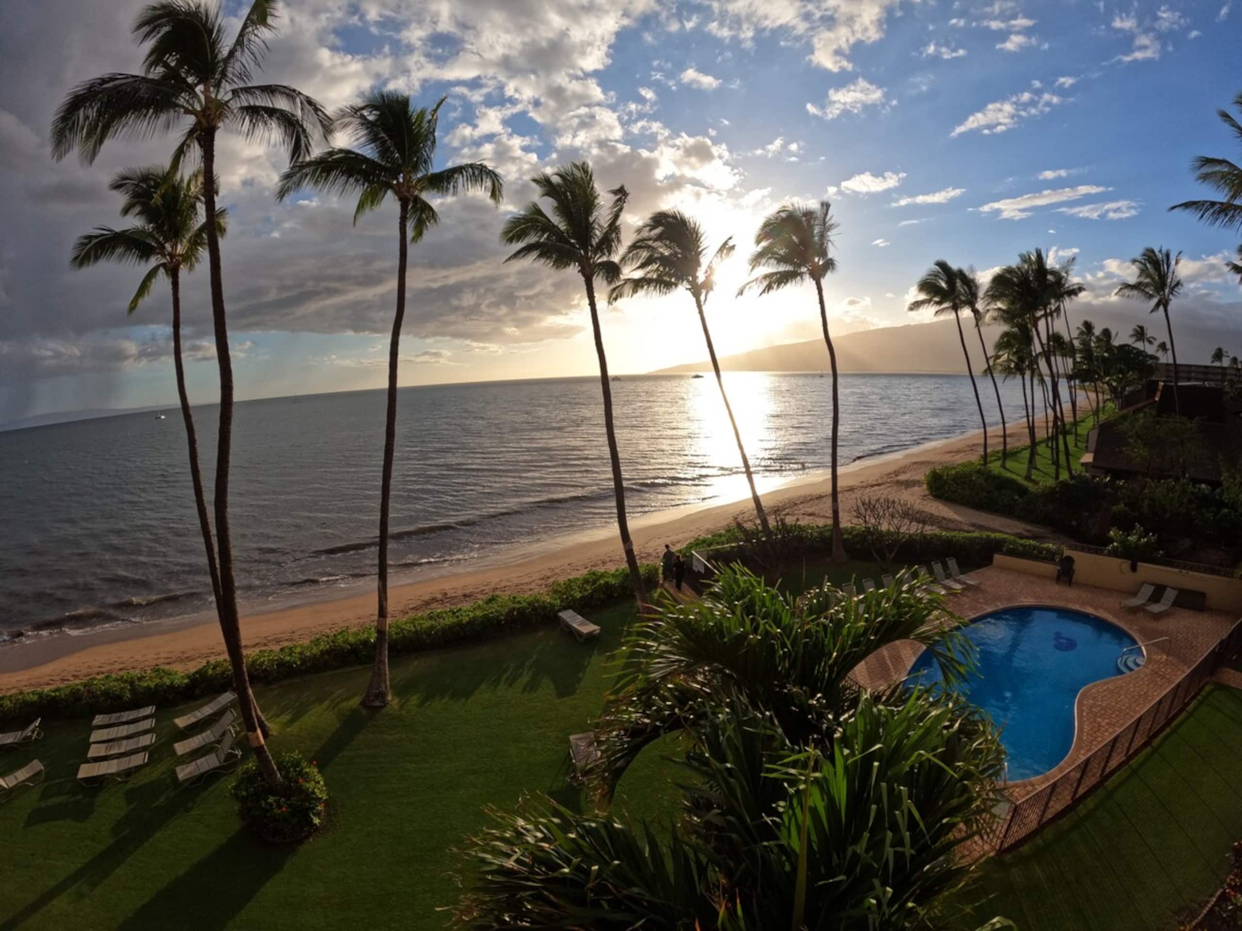 Ocean view stunning! Right on the beach! - Photo 7