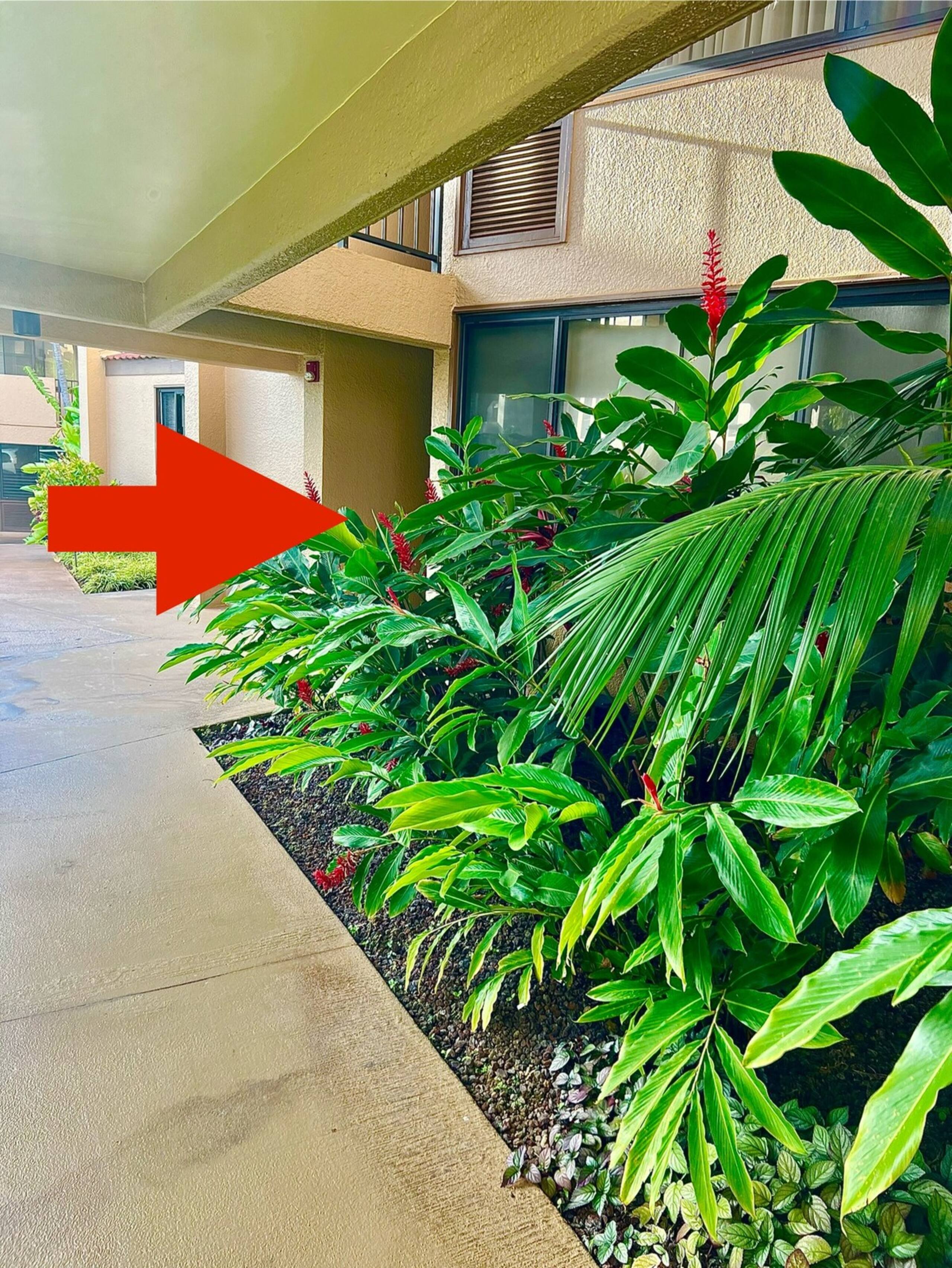 40% off the price. Ocean view. Next to the beach. - Photo 6