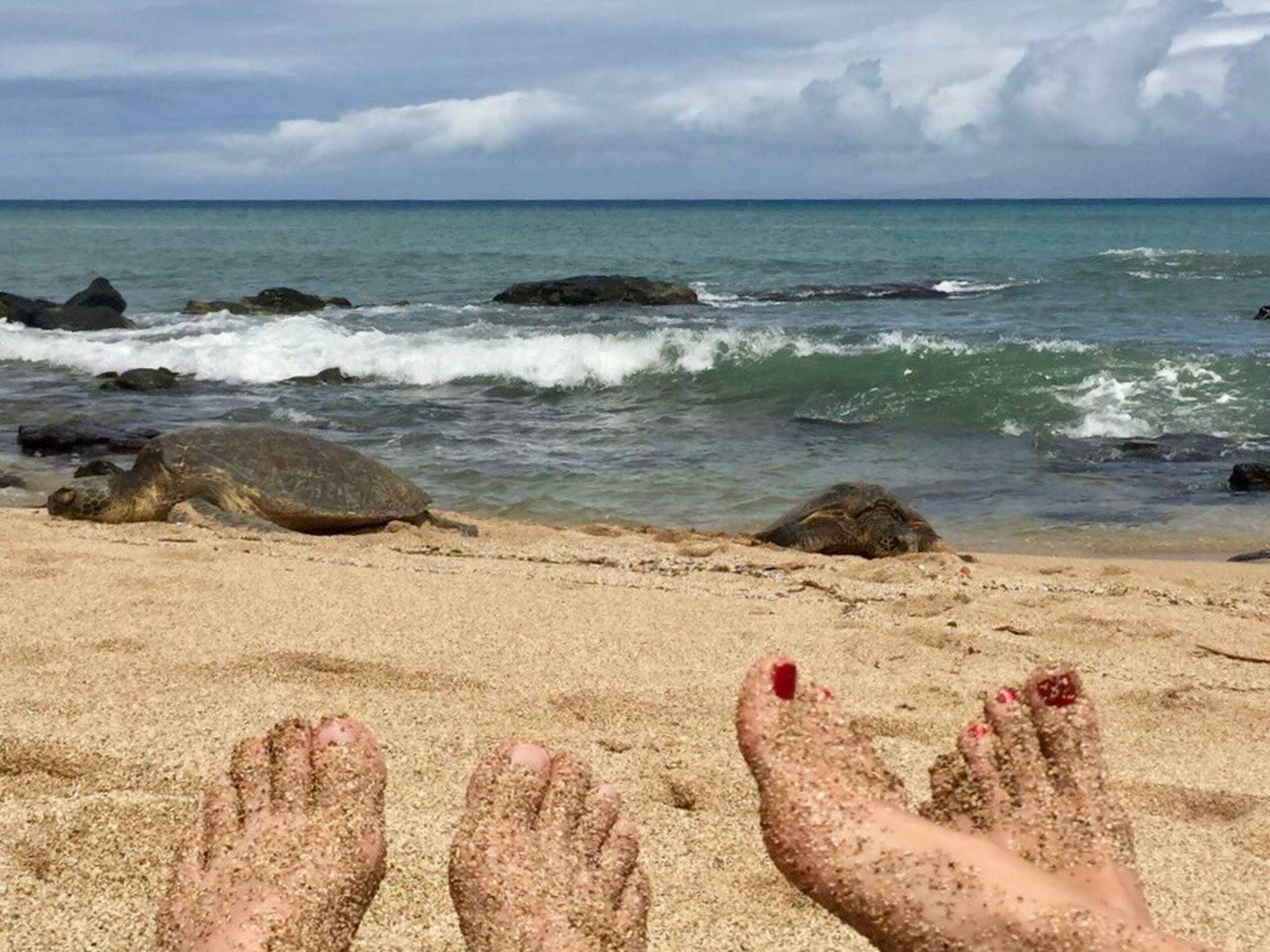 Fantastic details throughout 2BD oceanfront condo - Photo 29