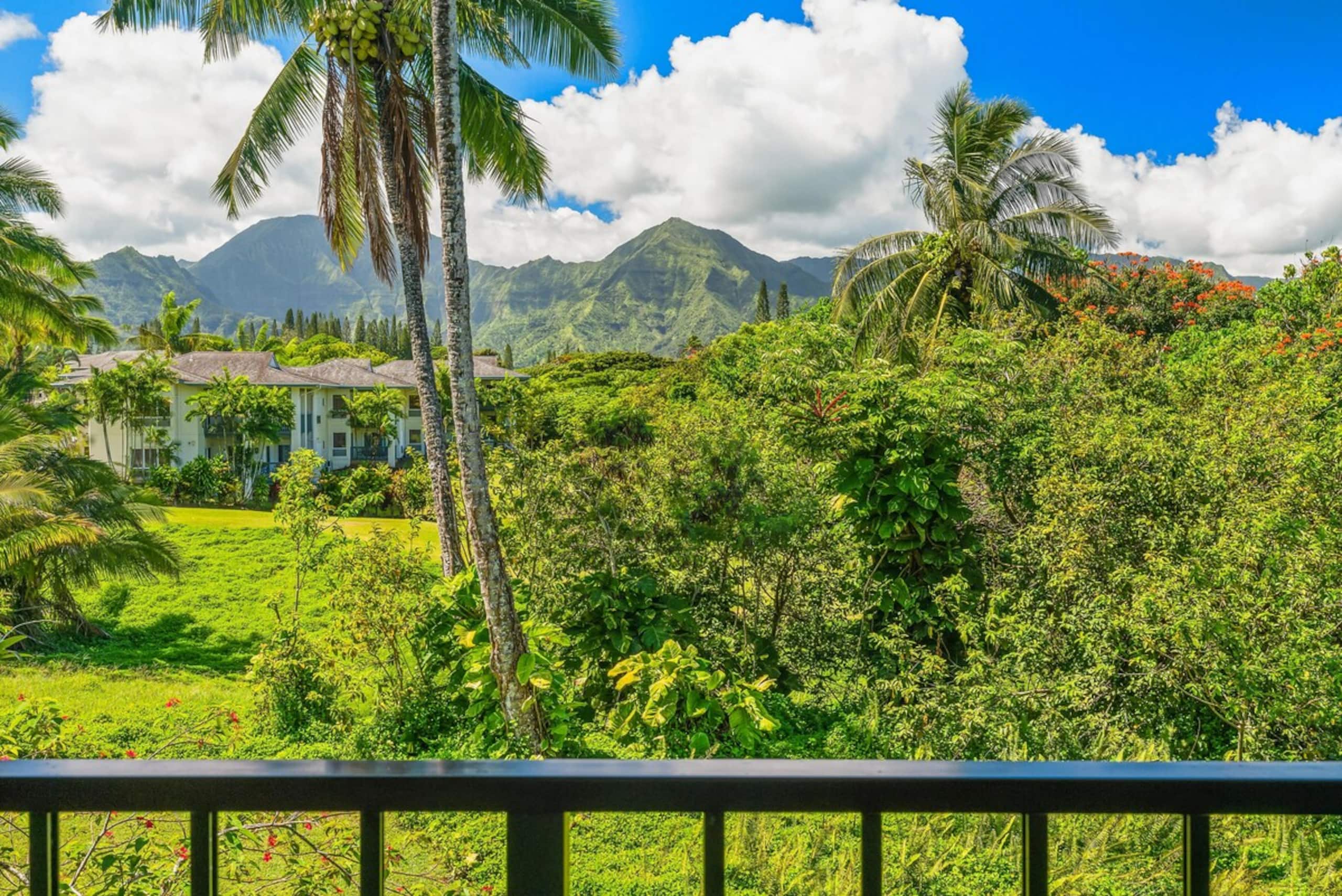 Tropical Oasis - Stunning Views In Private Setting - Photo 19