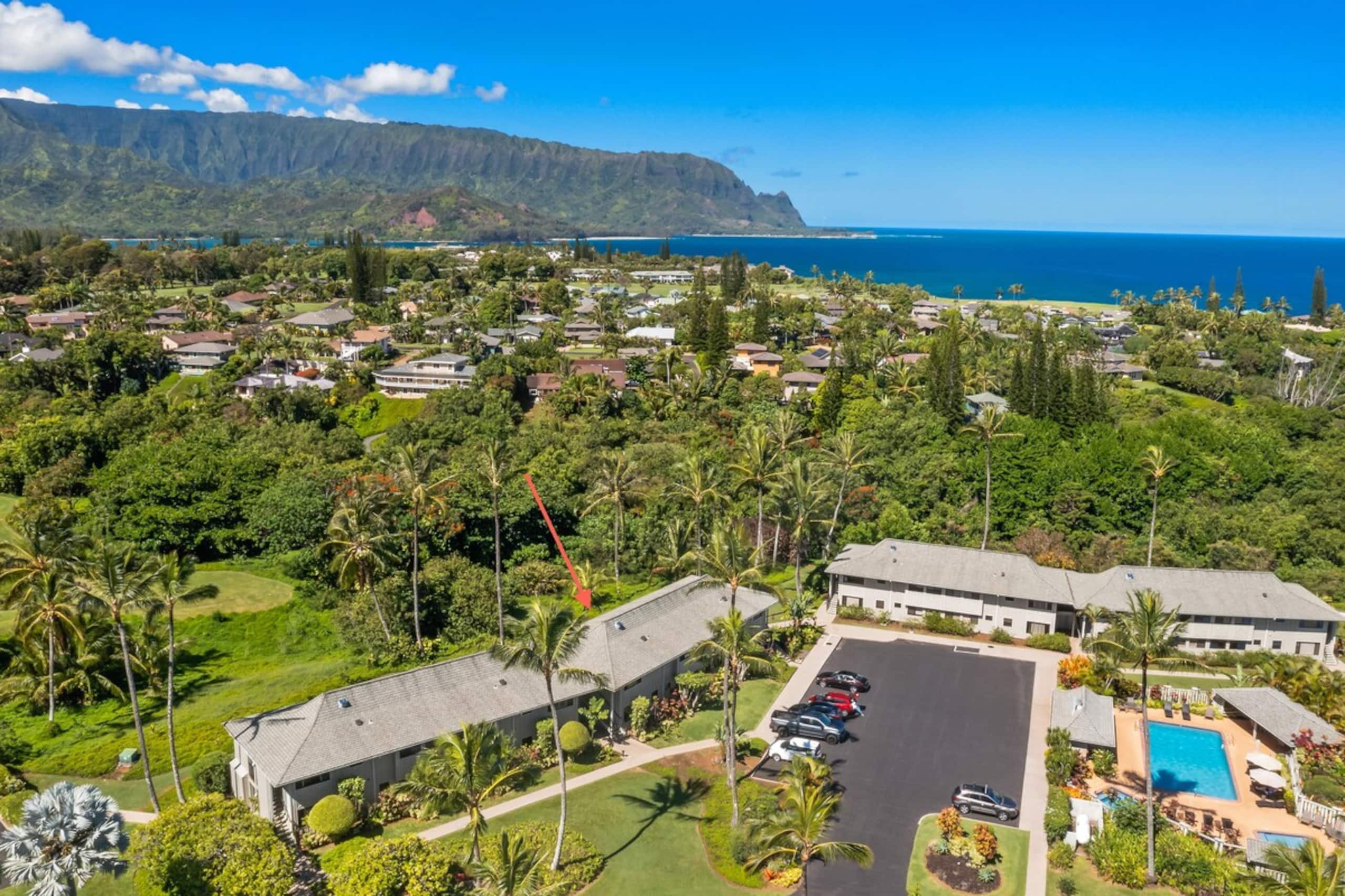 Tropical Oasis - Stunning Views In Private Setting - Photo 20